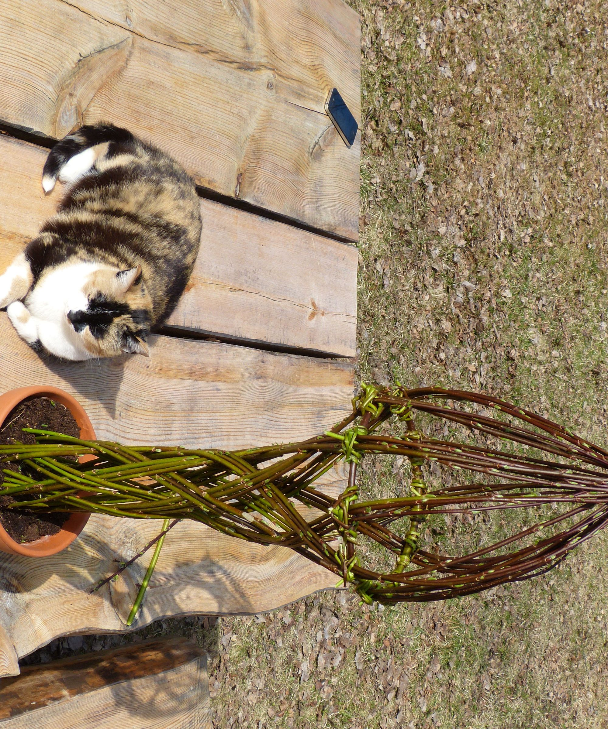 Living Willow Columns /  Sculptures