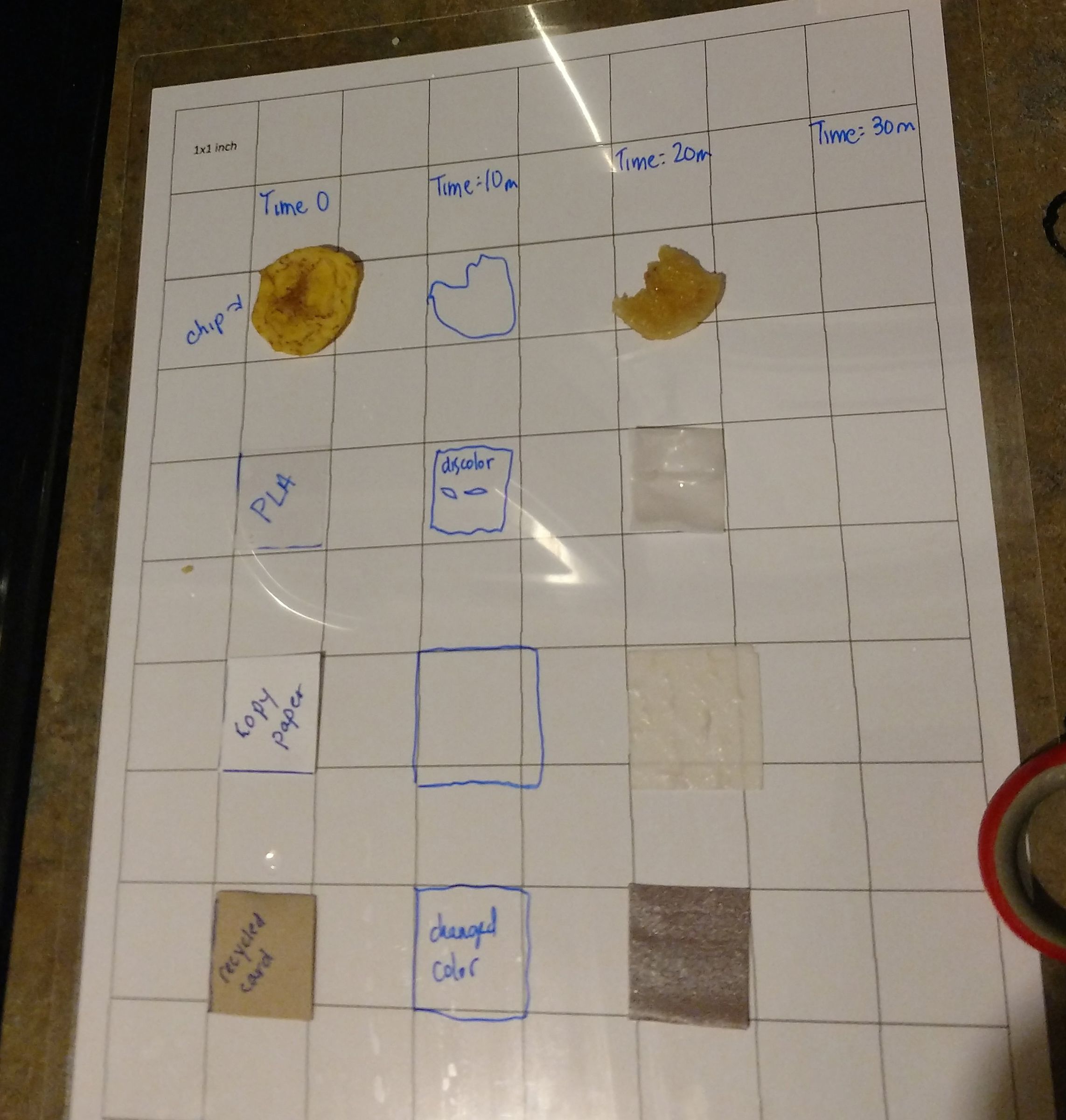 A Biodegradability Experiment You Can Do With Kids! : 8 Steps ...
