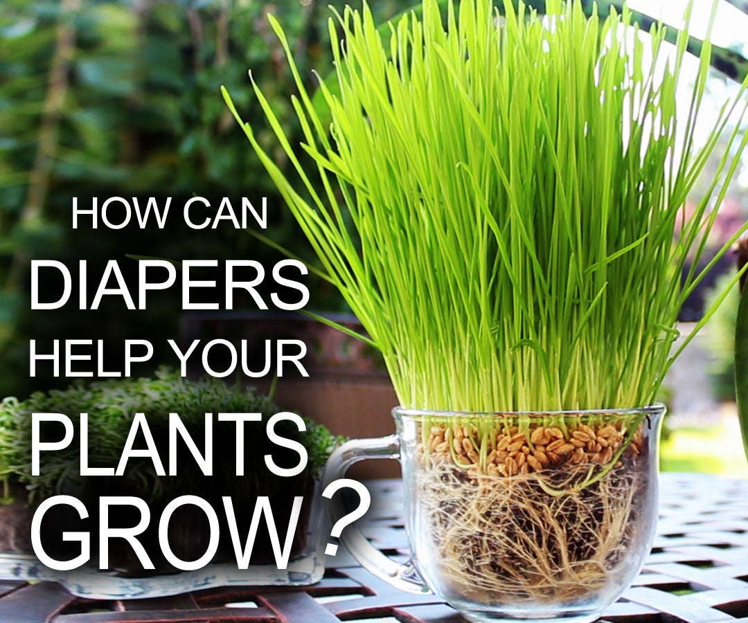 Diapers Help Your Plants Grow! 6 Steps (with Pictures) Instructables