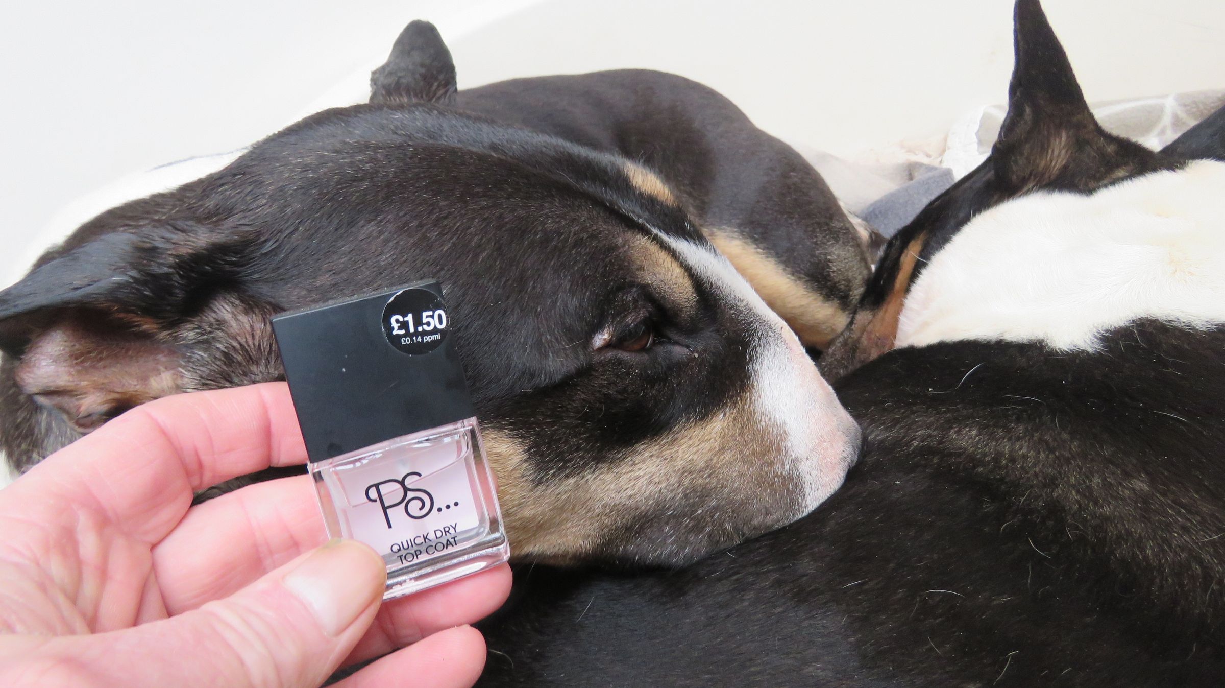 How to Remove Warts, Growths and Skin Tags With Nail Polish / Varnish