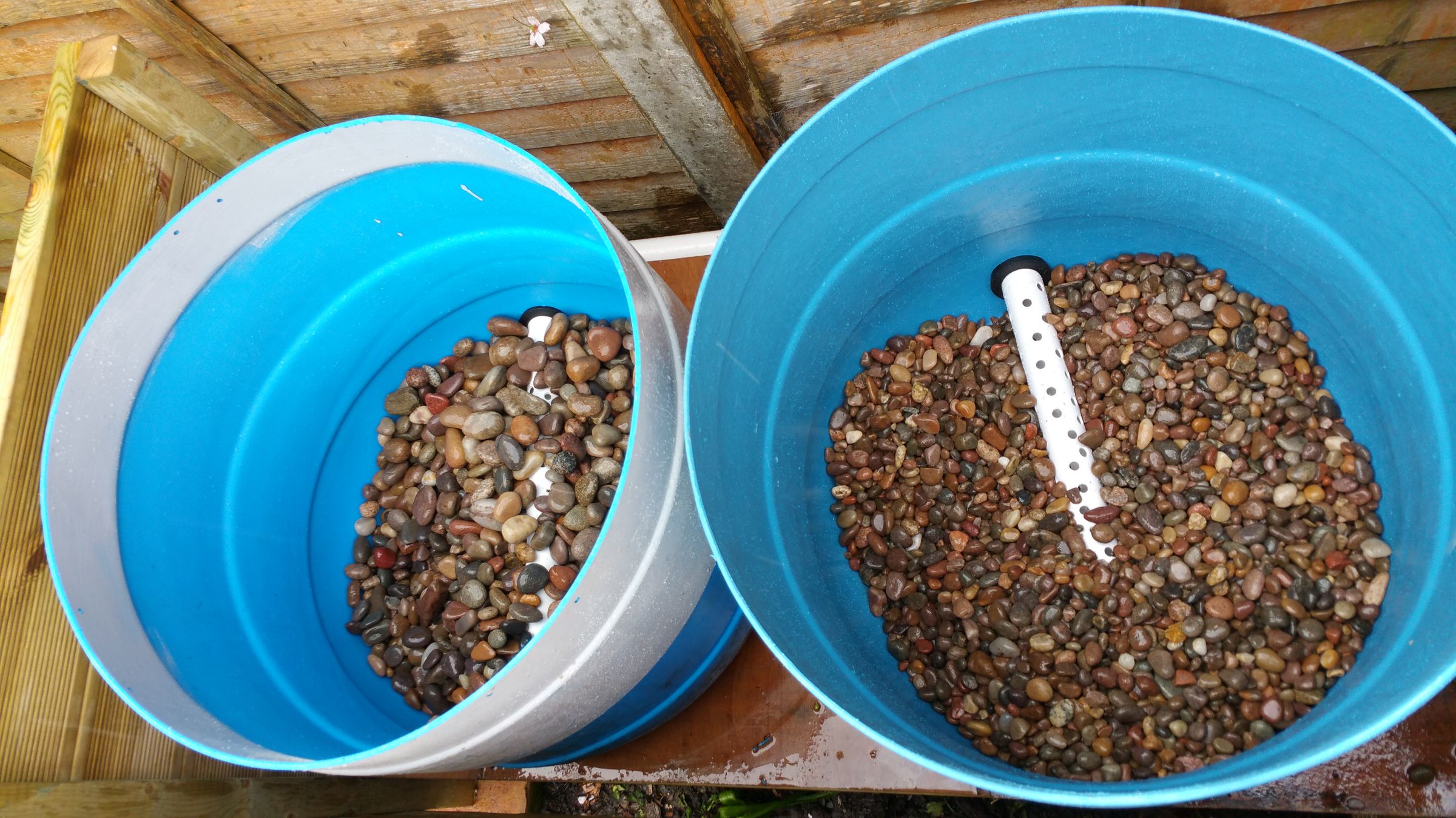 Fruit Trees in Aquaponics Using Dutch Buckets 6 Steps (with Pictures