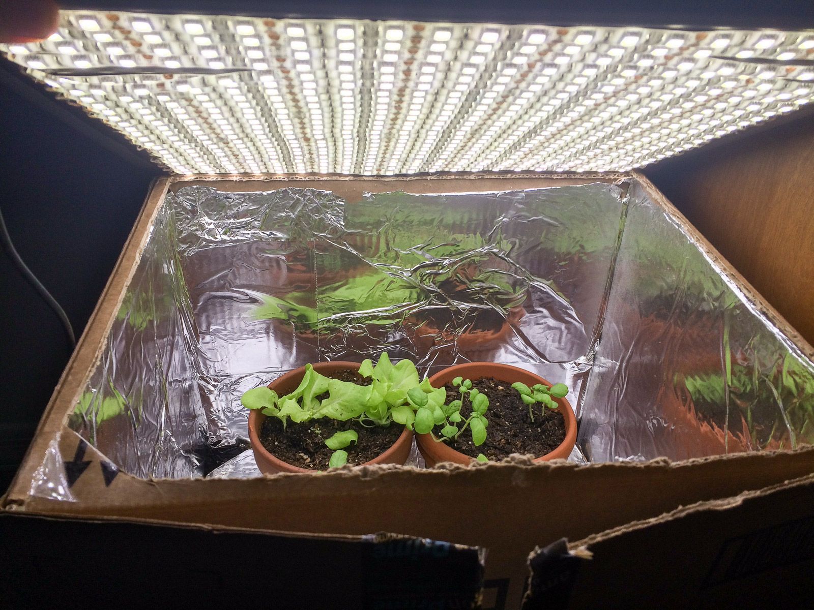 Small Indoor LED Plant Grow Room 4 Steps (with Pictures) Instructables
