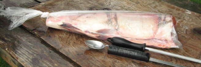 How to Clean a Fish