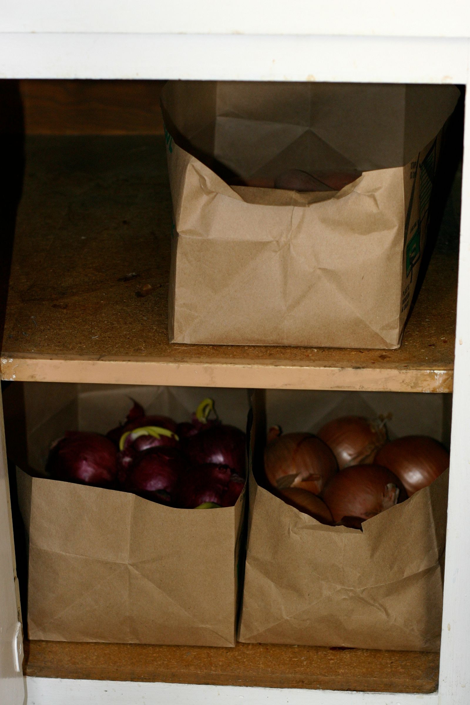 How to Store Onions and Potatoes Instructables