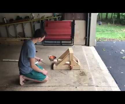2 x 4 catapult DIY Project DIY Project Image