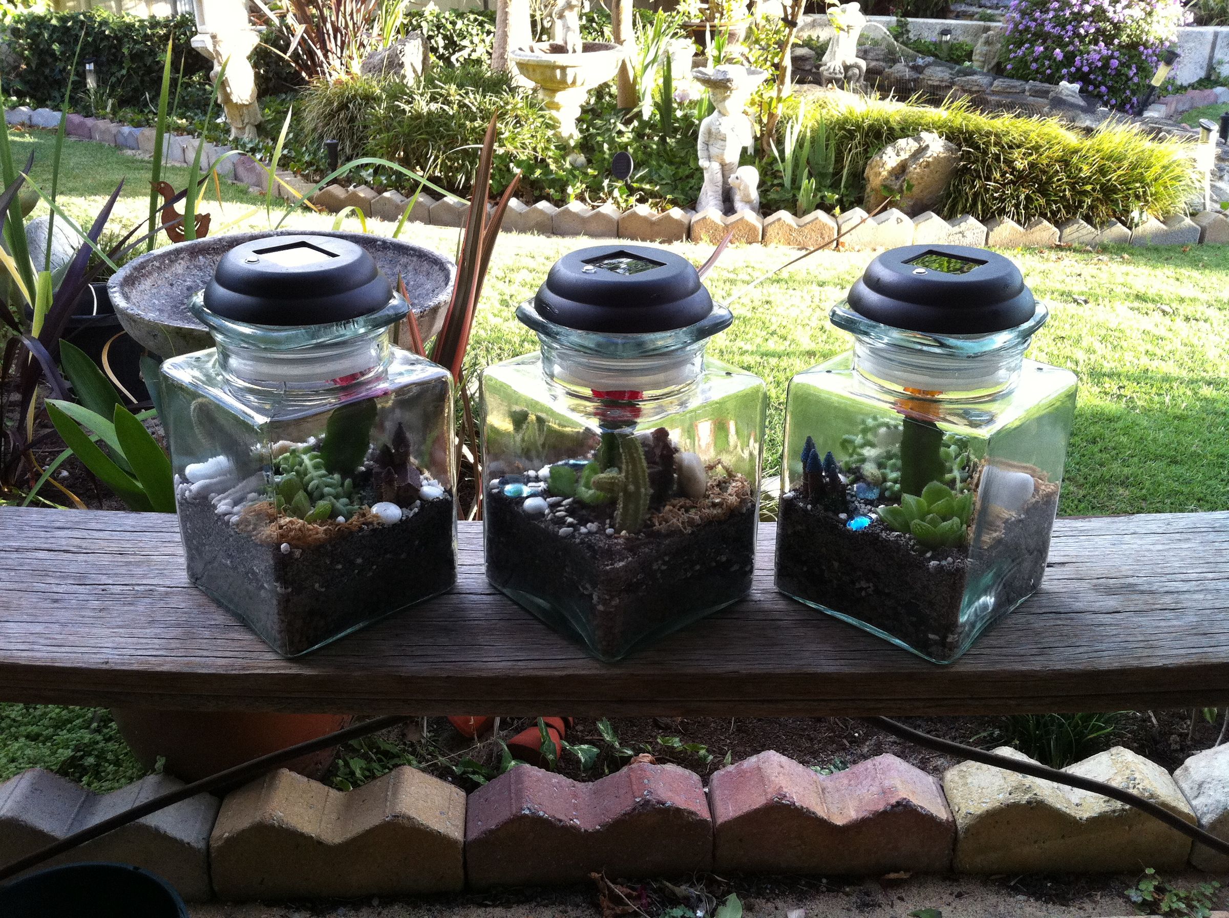 Succulent Terrarium 7 Steps (with Pictures) Instructables