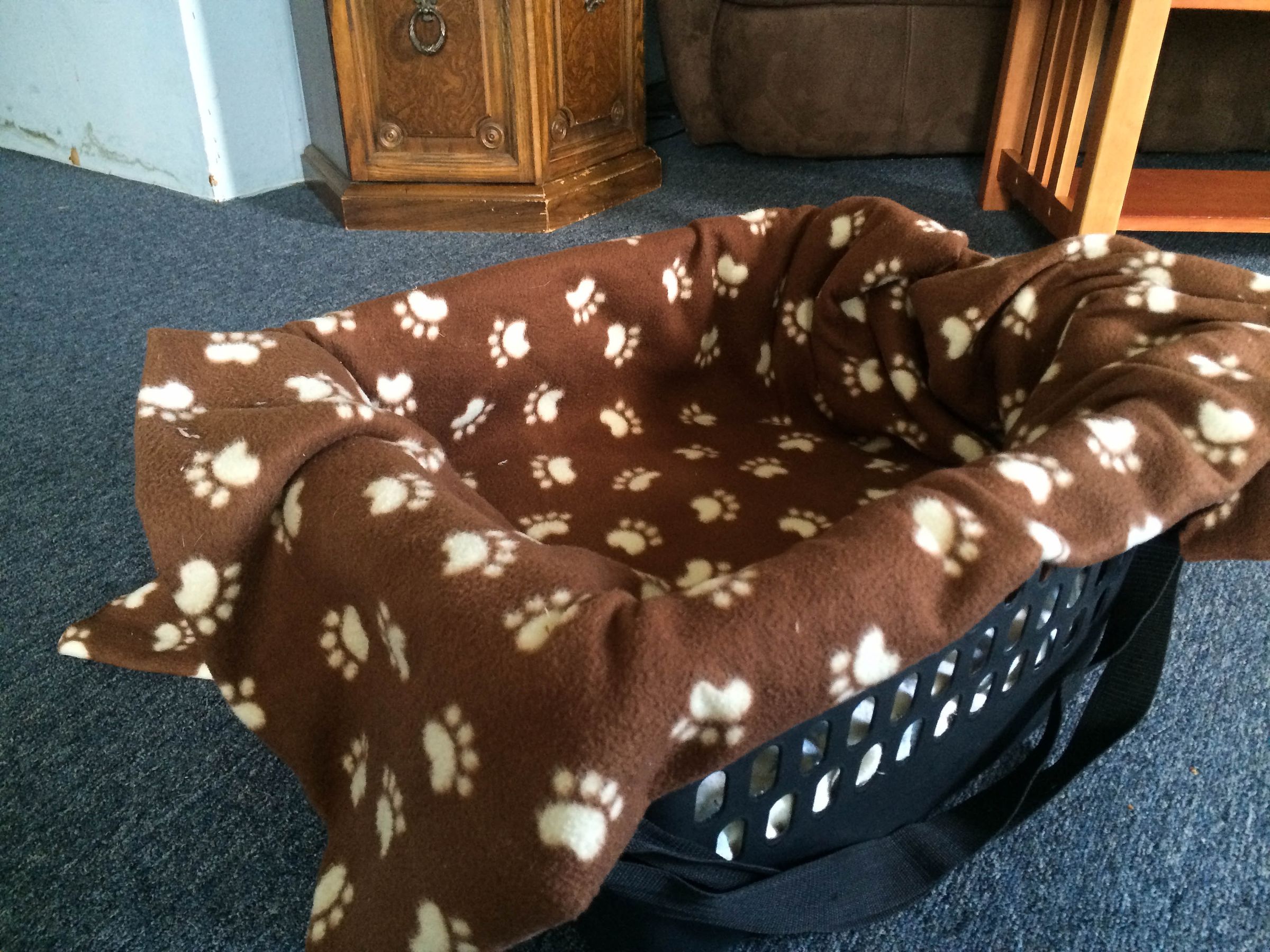 Cheap Safe Dog Car Seat 10 Steps (with Pictures) Instructables
