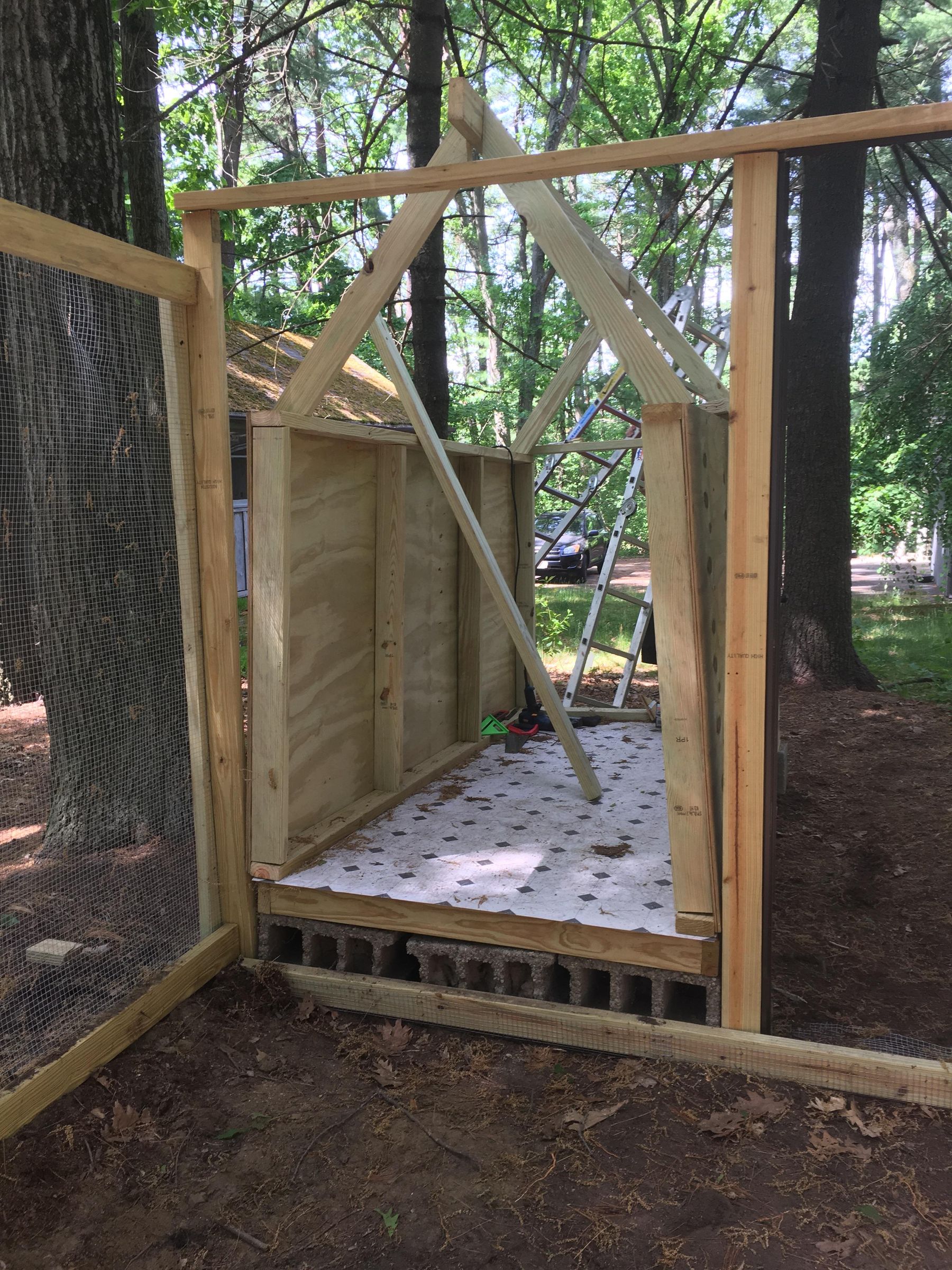 No Carpentry Experience Needed Plywood Chicken Coop 12 Steps (with