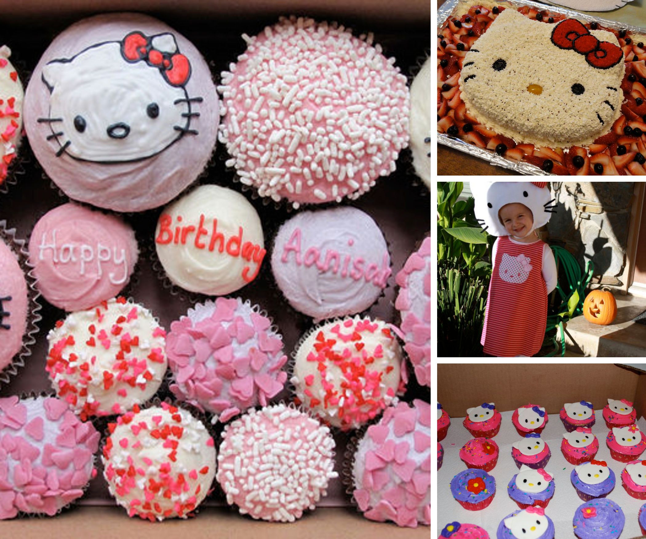 DIY guide for Hello Kitty Collection with step-by-step instructions