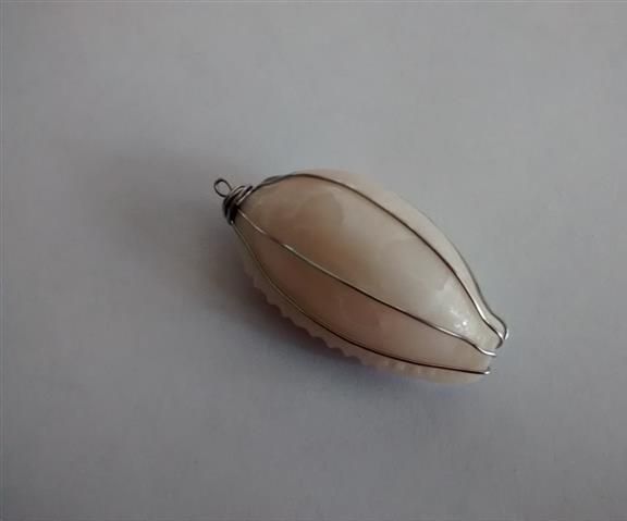 DIY guide for Simple Wire-Wrapped Sea-Shell Pendant with step-by-step instructions