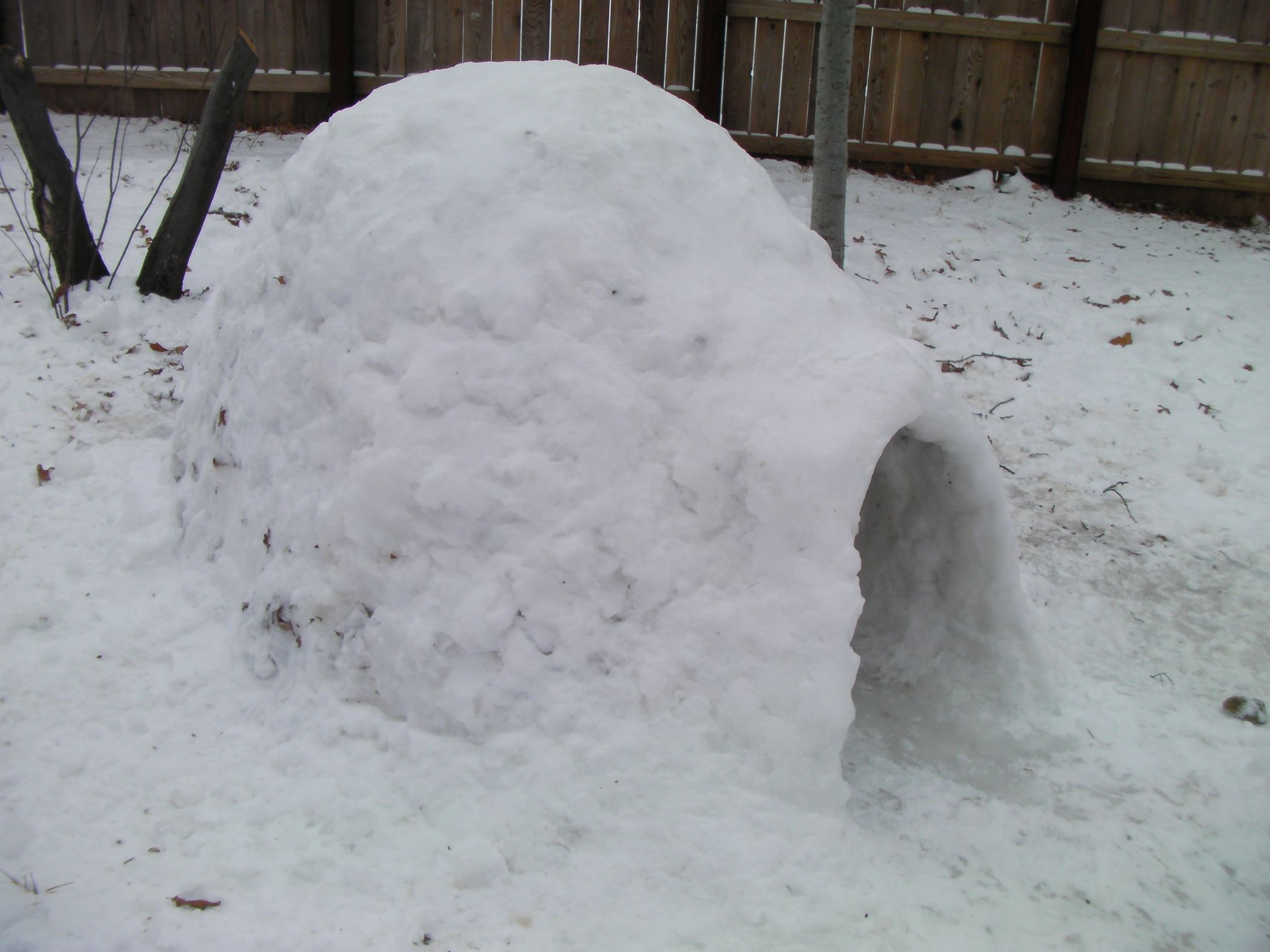 How to Make a Backyard Igloo With Powdery Snow : 5 Steps (with Pictures