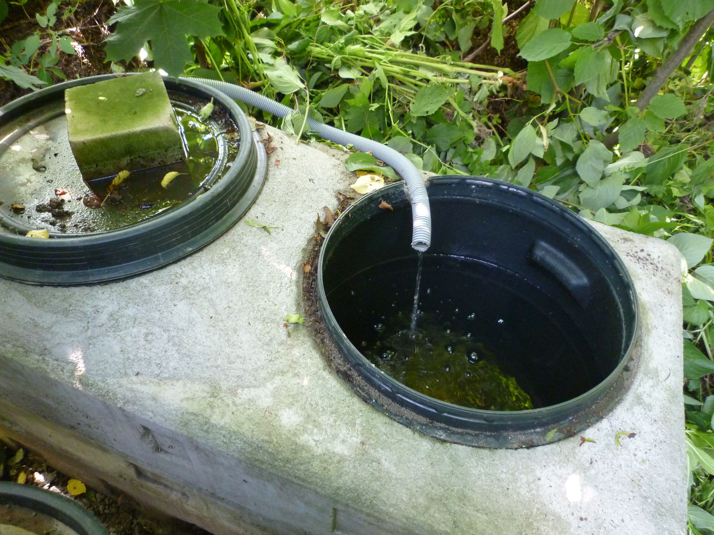 Rainwater Toilet Flush 3 Steps (with Pictures) Instructables