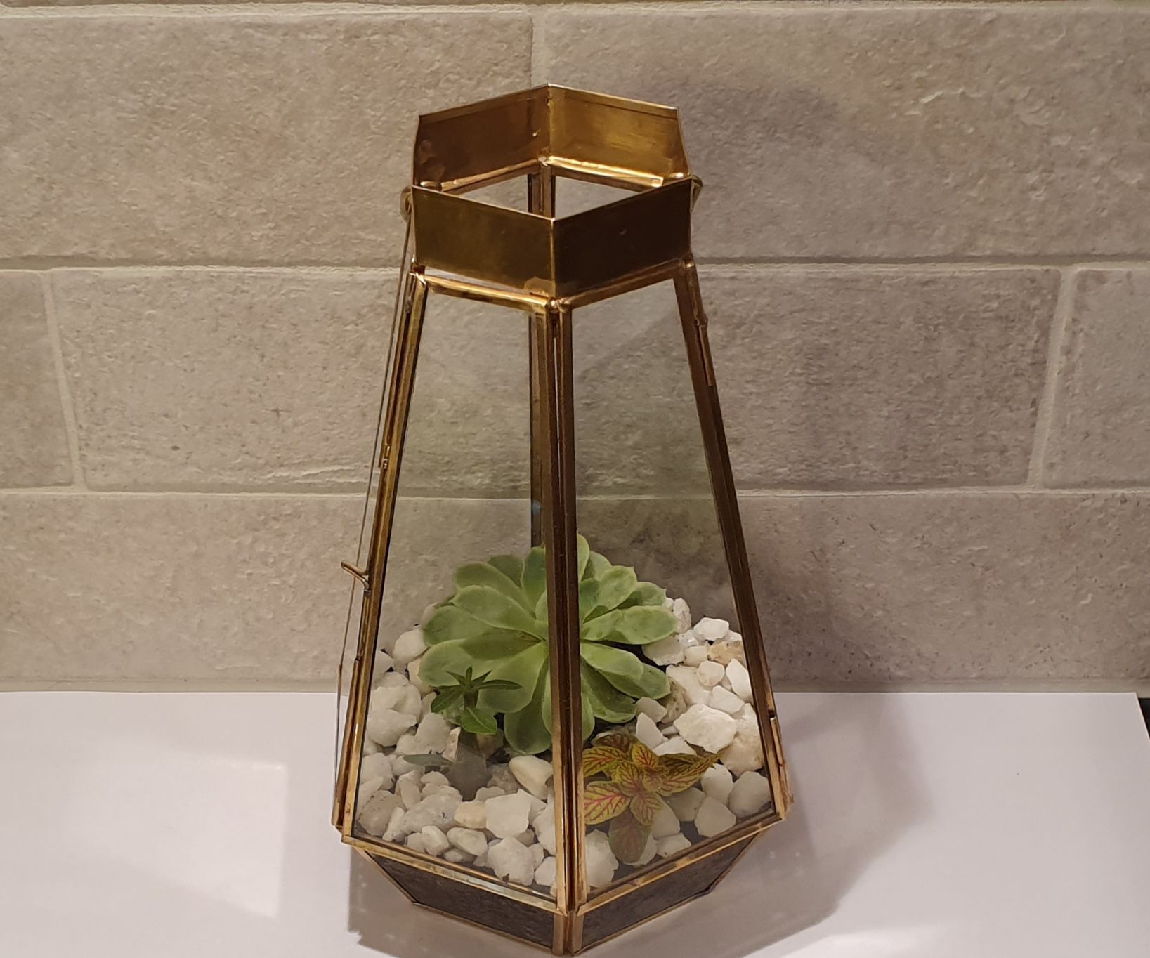Desk Terrarium 5 Steps Instructables