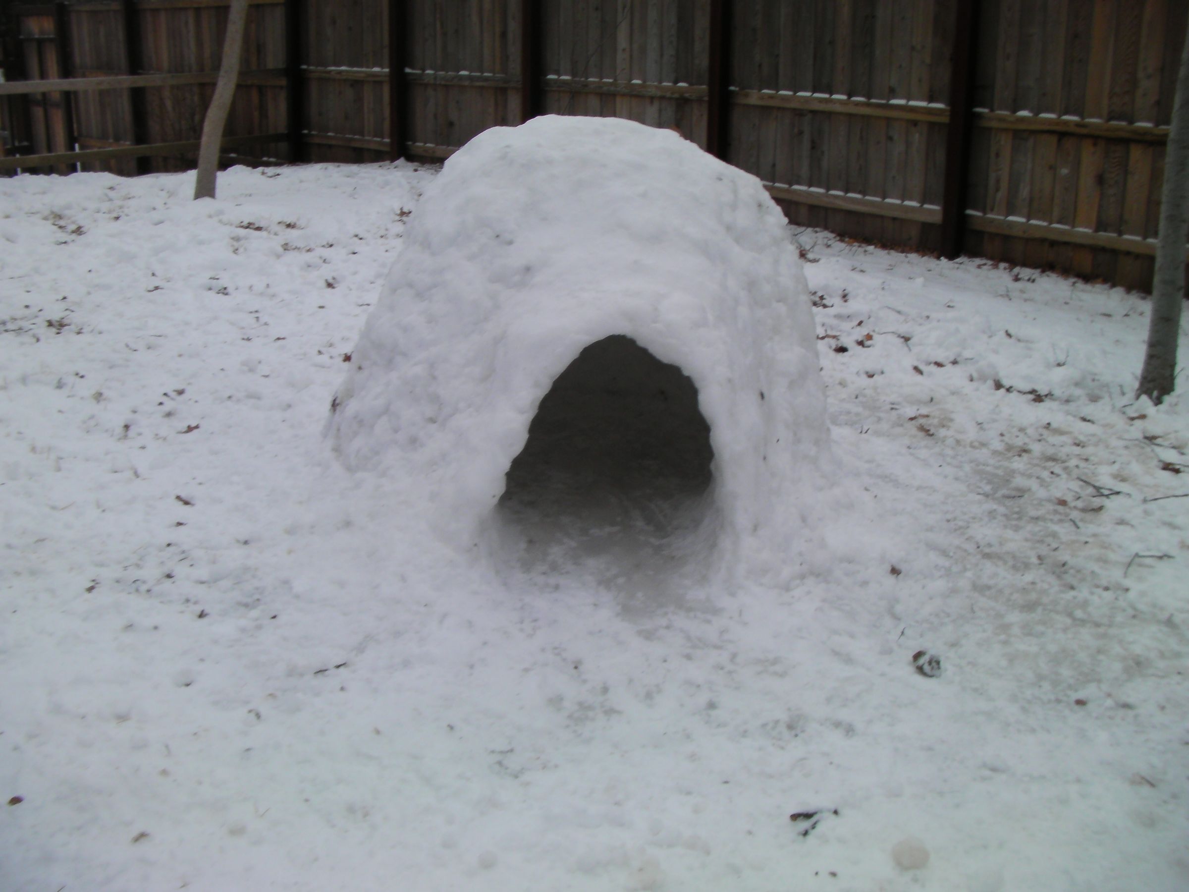 How to Make a Backyard Igloo With Powdery Snow 5 Steps (with Pictures