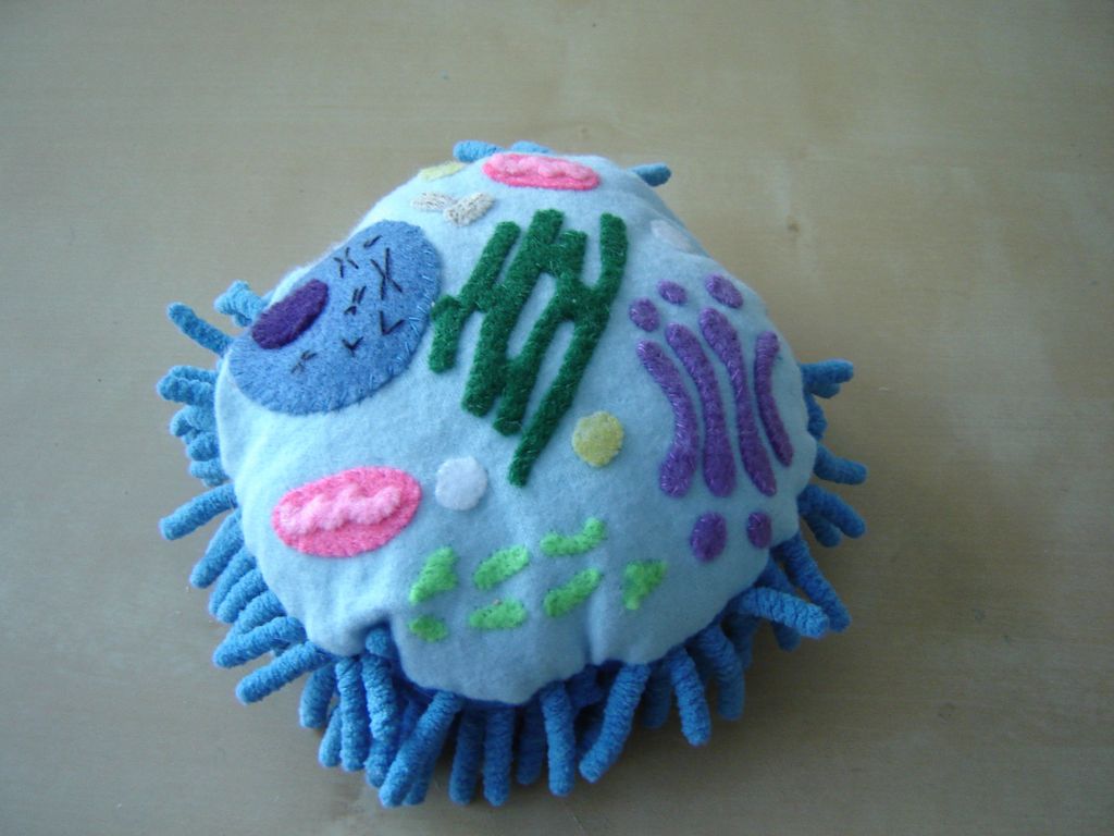 Animal Cell Model Examples - 3 D Cell Model Project Ppt Download ...