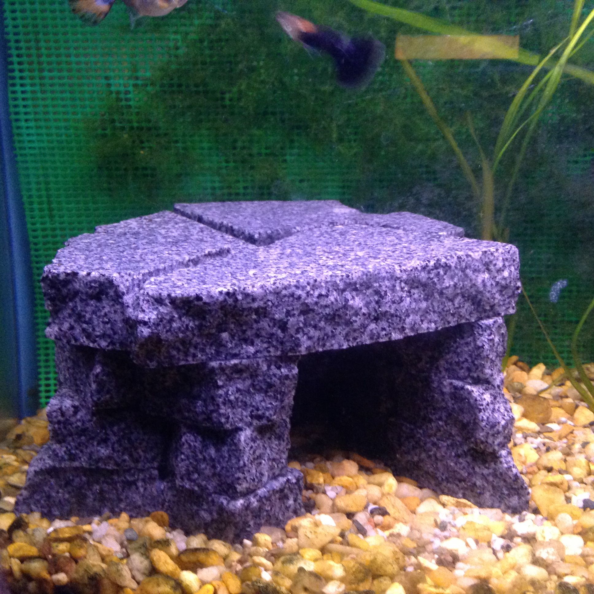 How to Build Aquarium. 6 Steps (with Pictures) Instructables