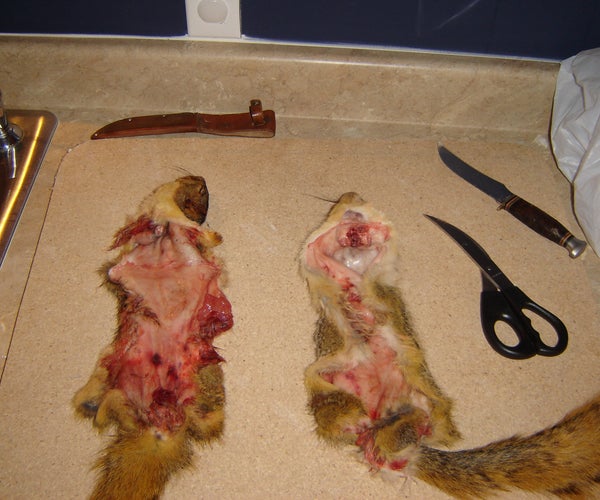 Curing Small Animal Pelts, Squirrels Rabbits Etc..