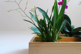 Vertical Orchid Planter 15 Steps With Pictures Instructables