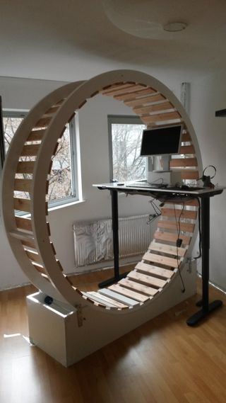 Hamster Wheel Standing Desk