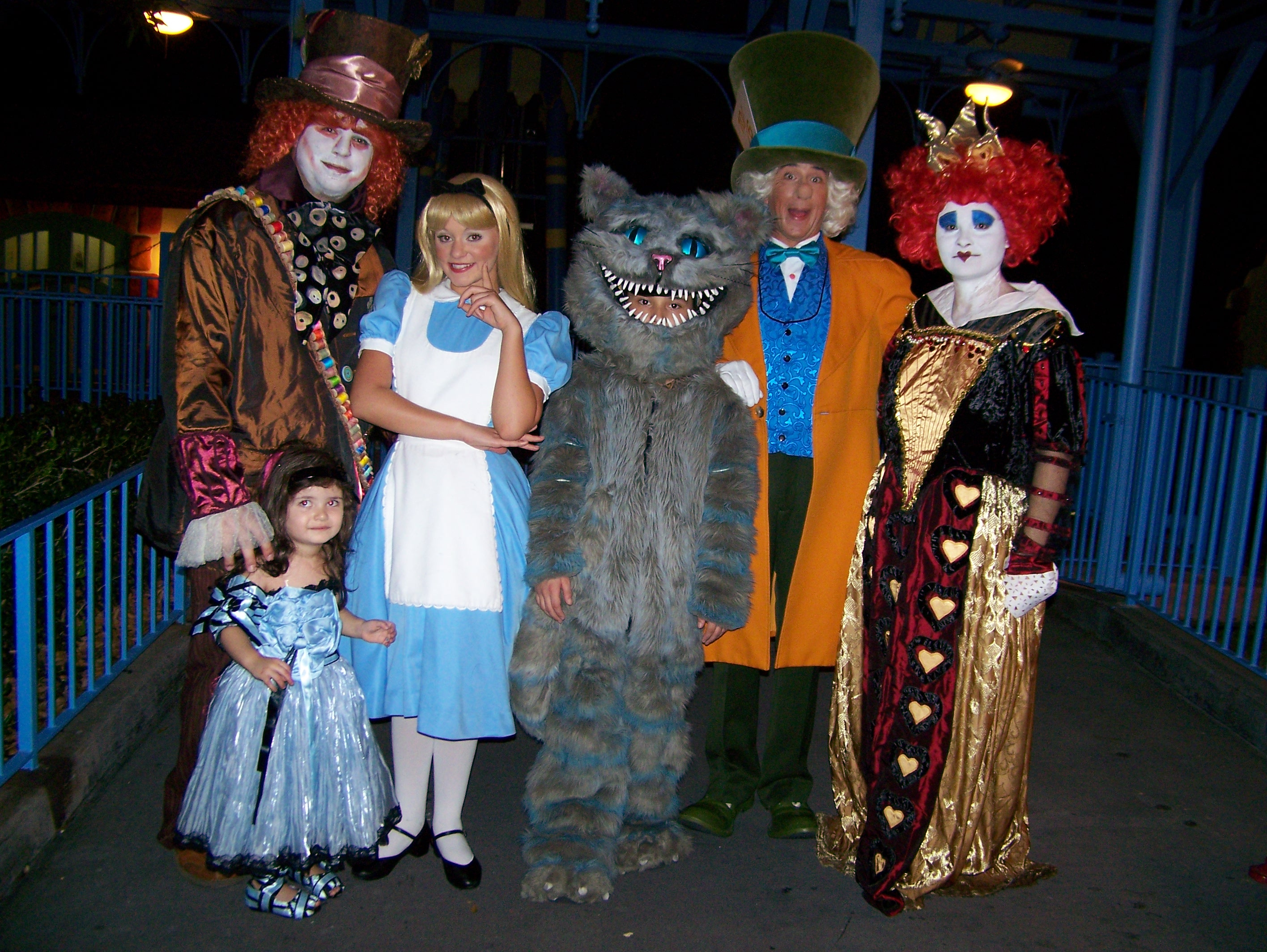alice in wonderland cat costume