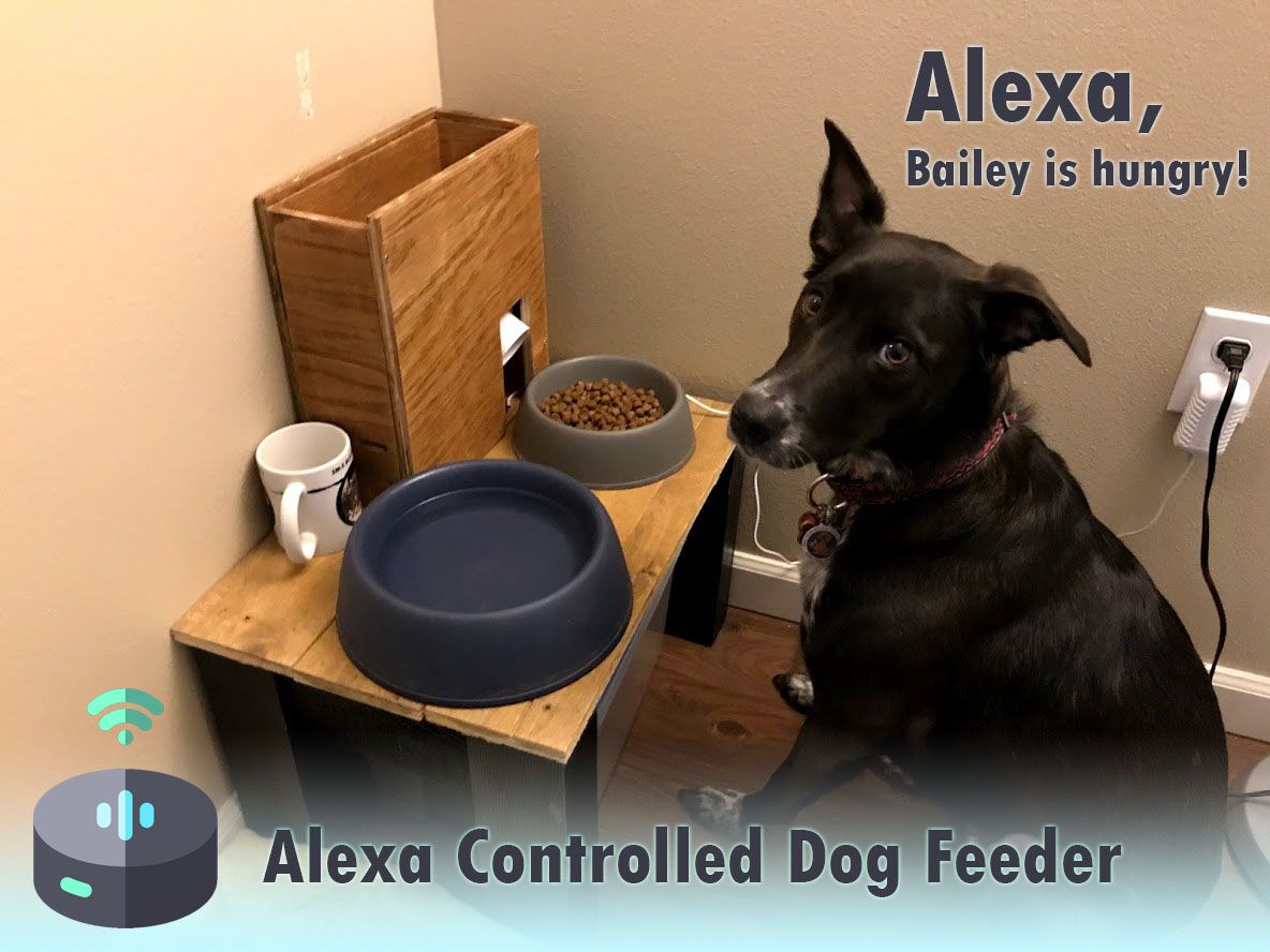 alexa enabled pet feeder