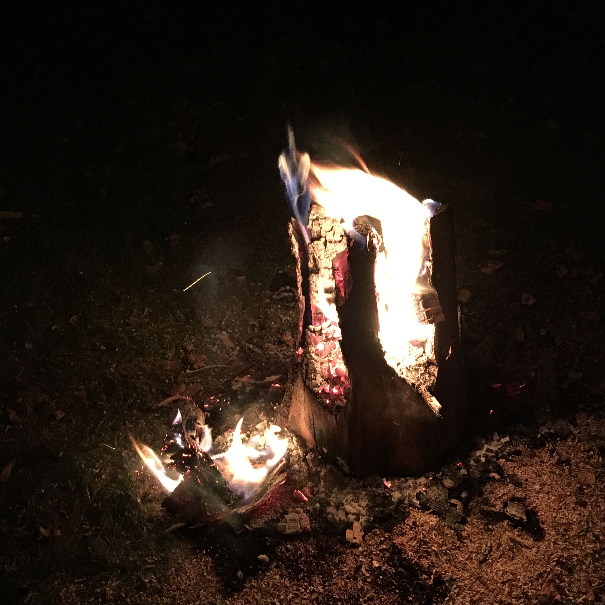 How to Make a Swedish Fire Torch 4 Steps (with Pictures) Instructables