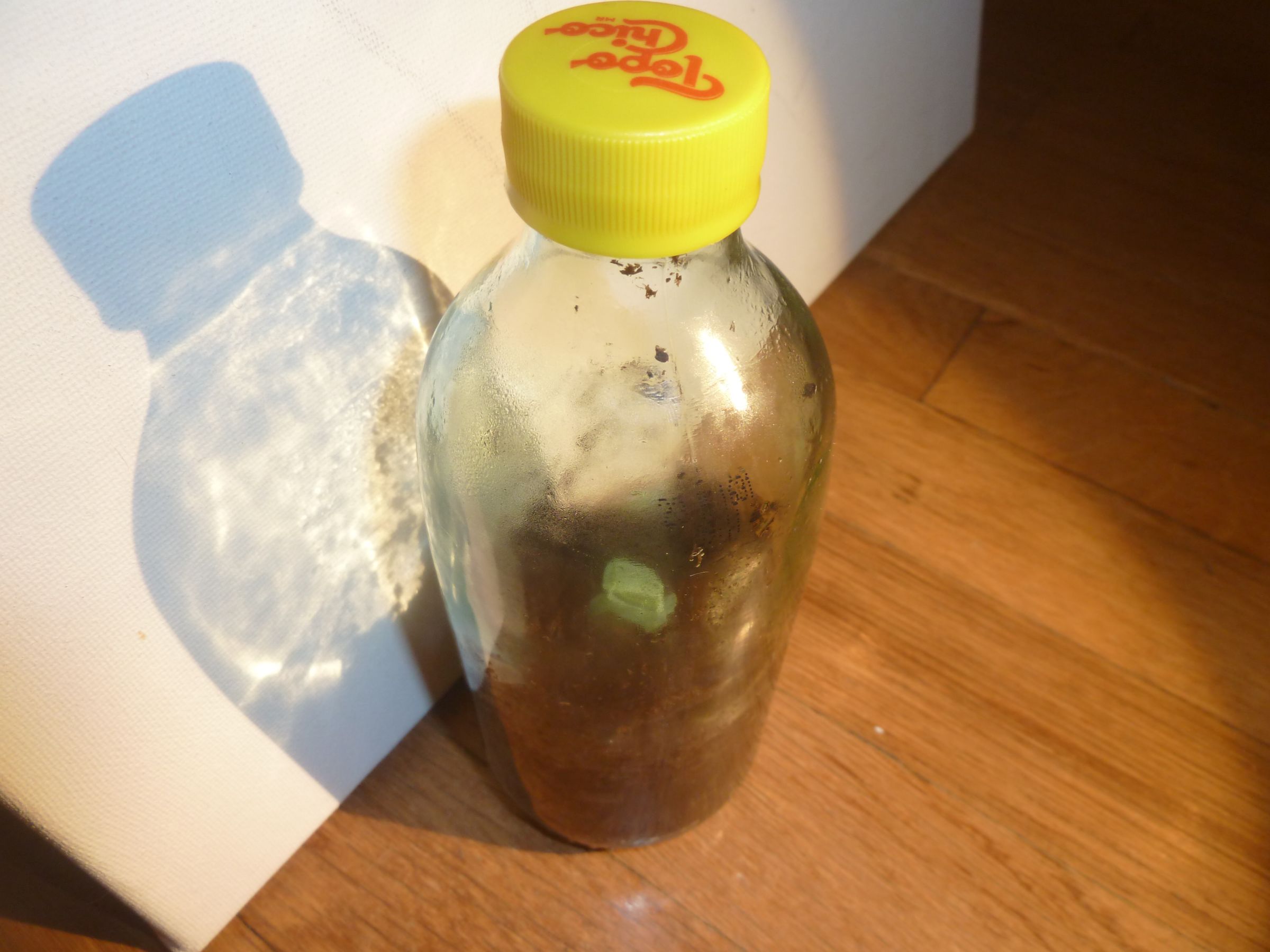 chico bottle