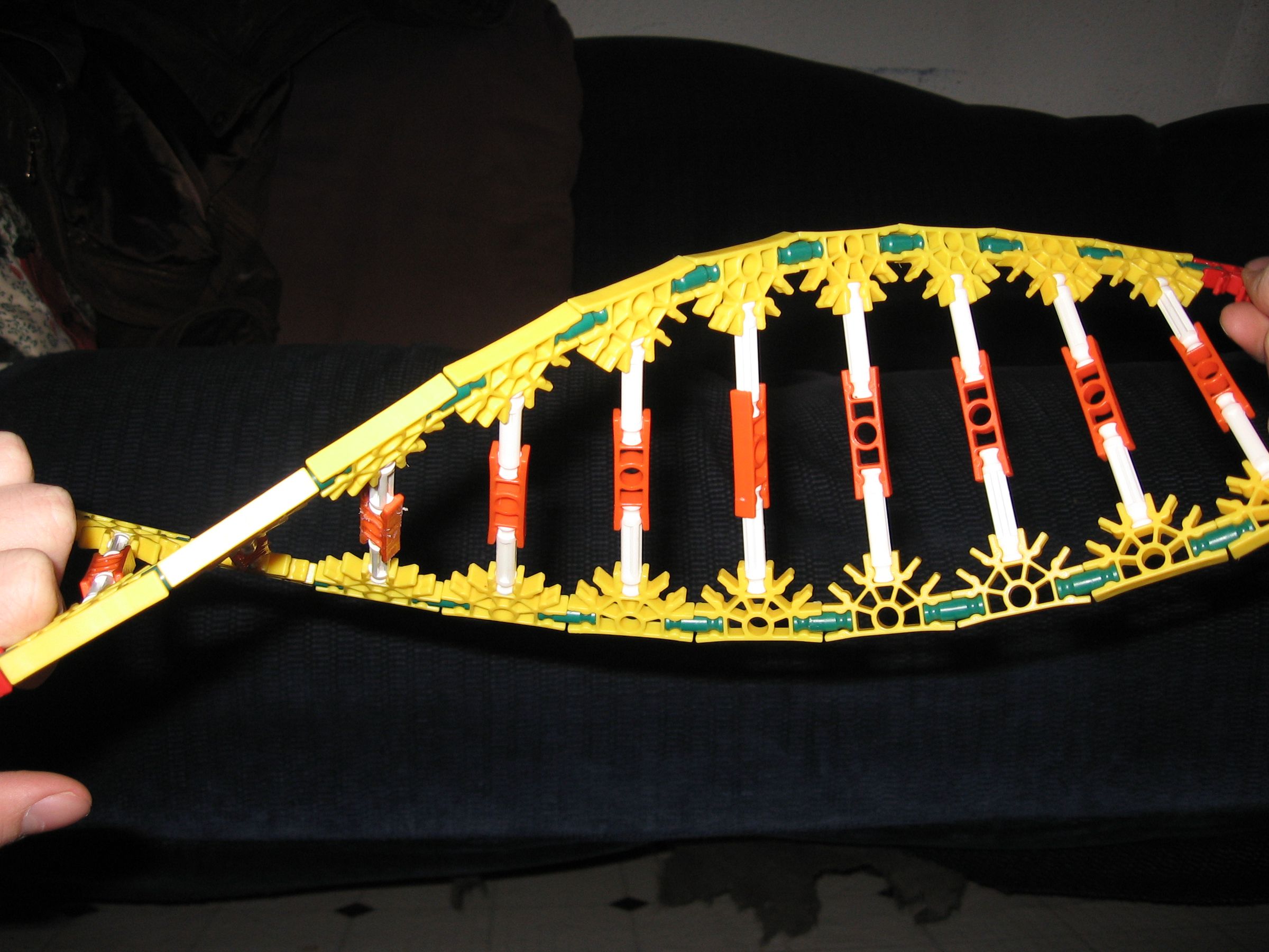 dna knex