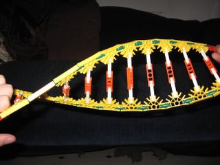 k nex dna 4 steps instructables