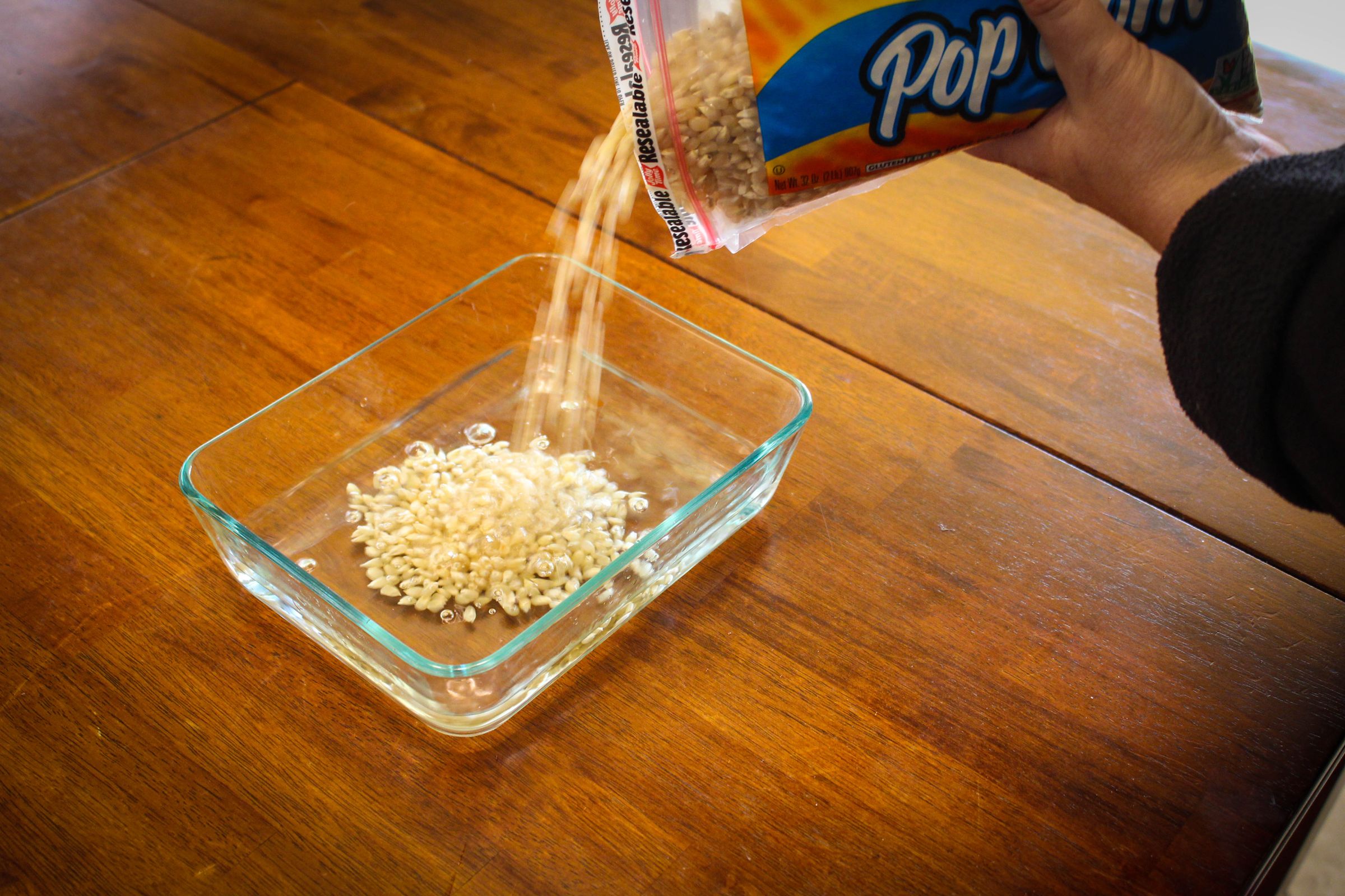 How to Grow Popcorn Shoots 9 Steps (with Pictures) Instructables