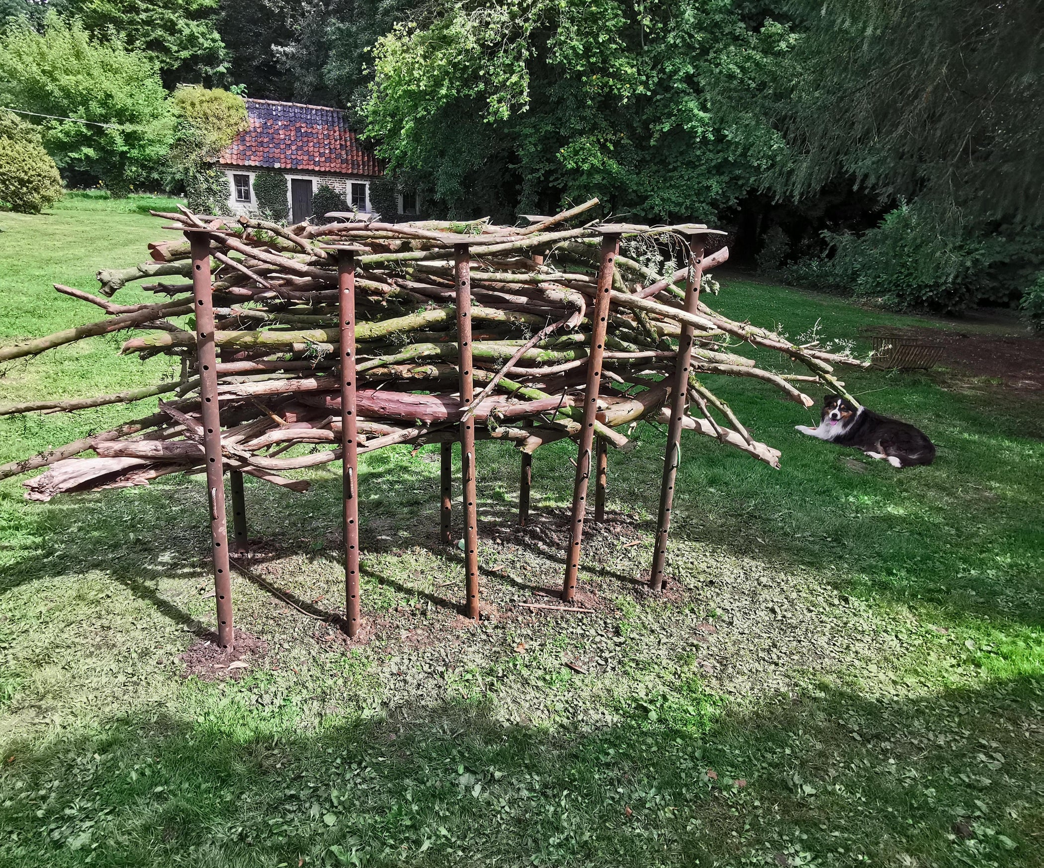 Easy Sawbuck Using 1 Tool and 2 Materials 10 Steps (with Pictures