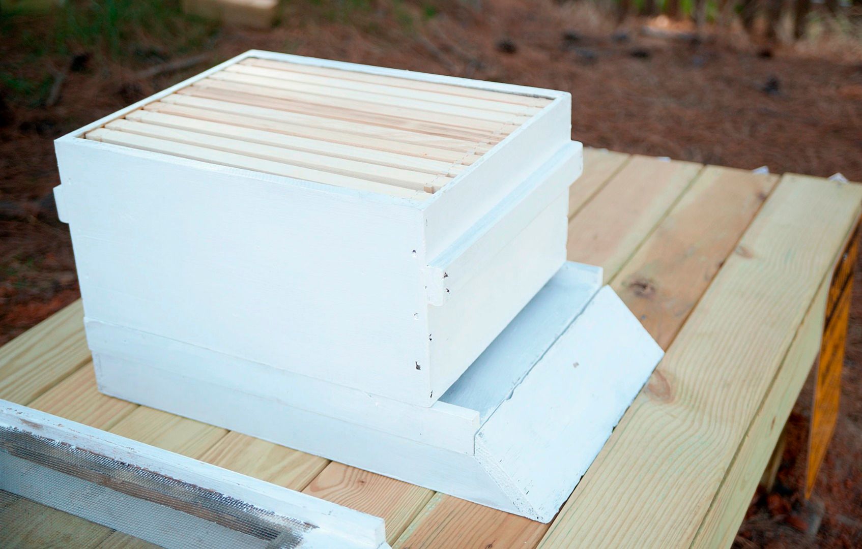 Start a Back Yard Honey Bee Hive 10 Steps (with Pictures) Instructables