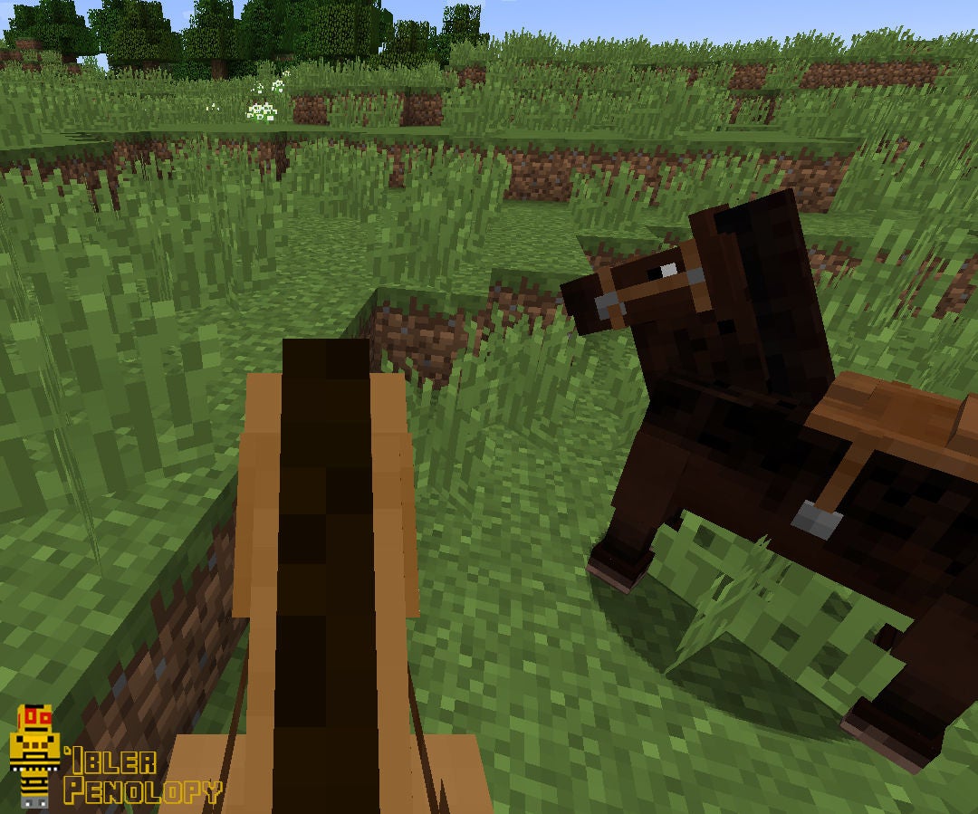 How To Ride A Horse In Minecraft 5 Steps with Pictures Instructables