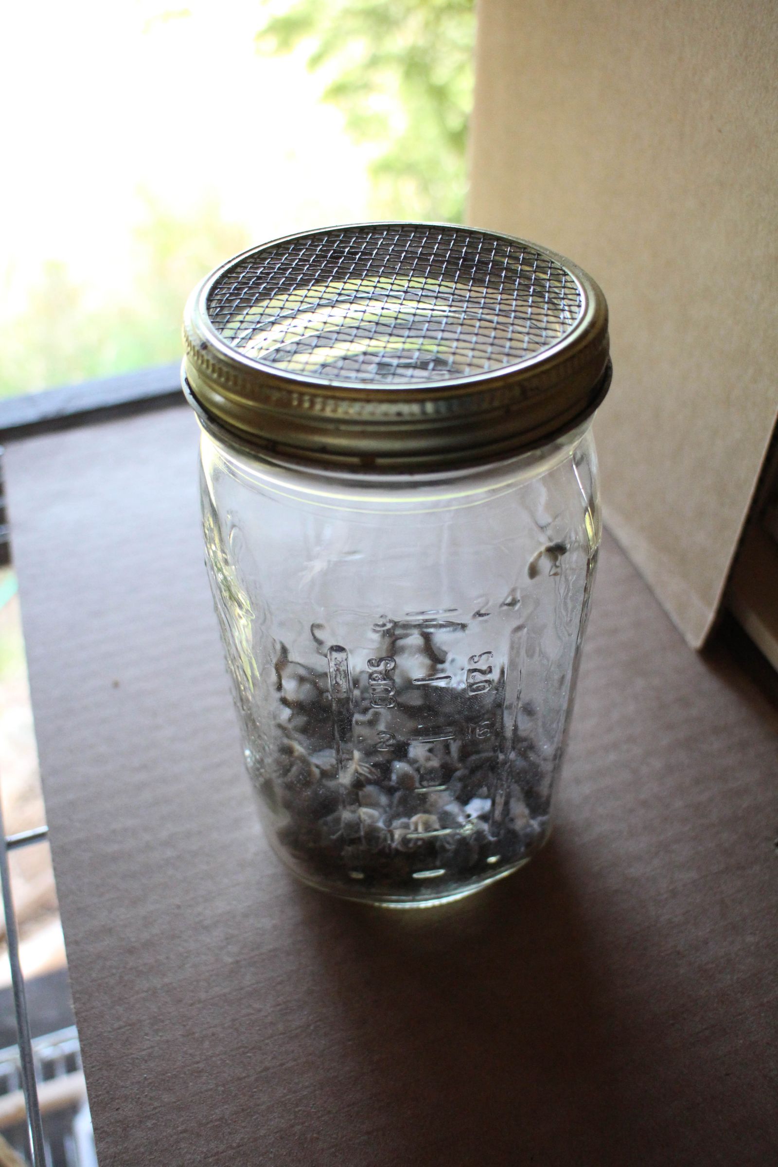 Sugar Coated Honey Bees or How to Test for Varroa Mites 10 Steps