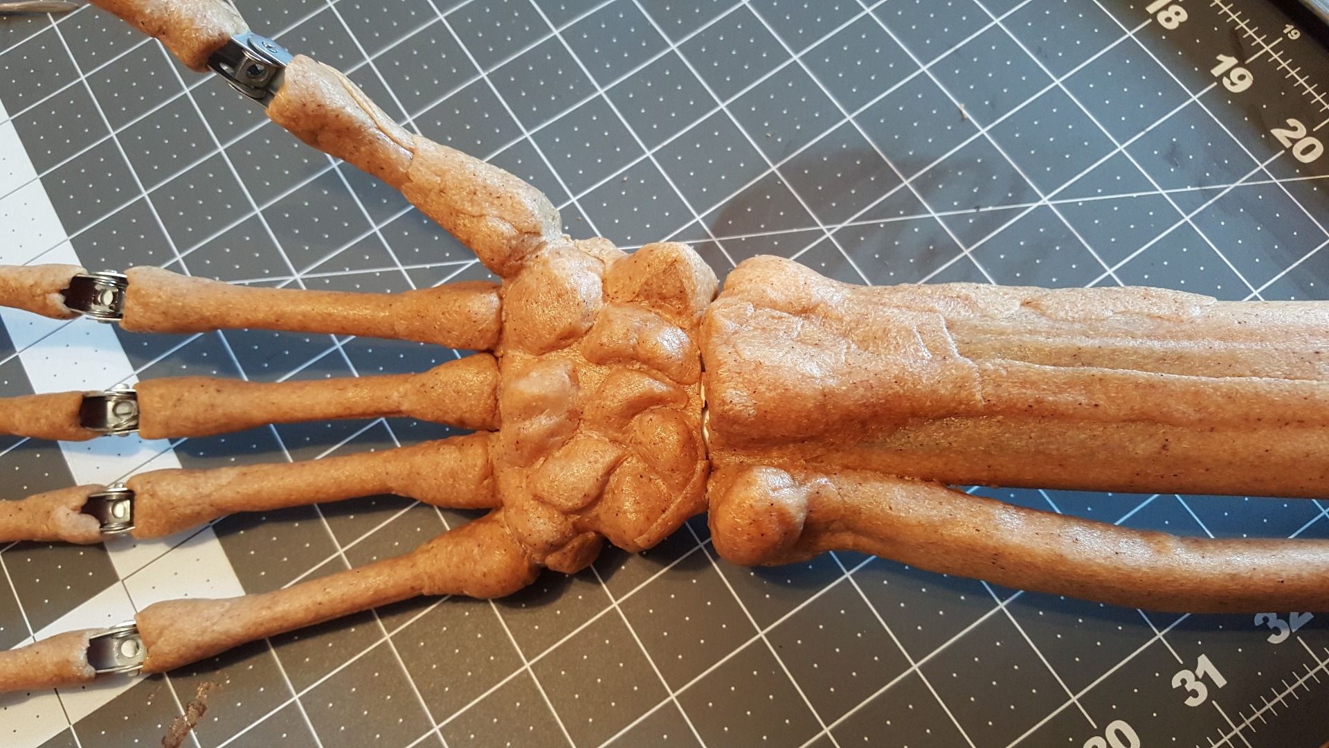Articulated Skeleton Hand 7 Steps (with Pictures) Instructables
