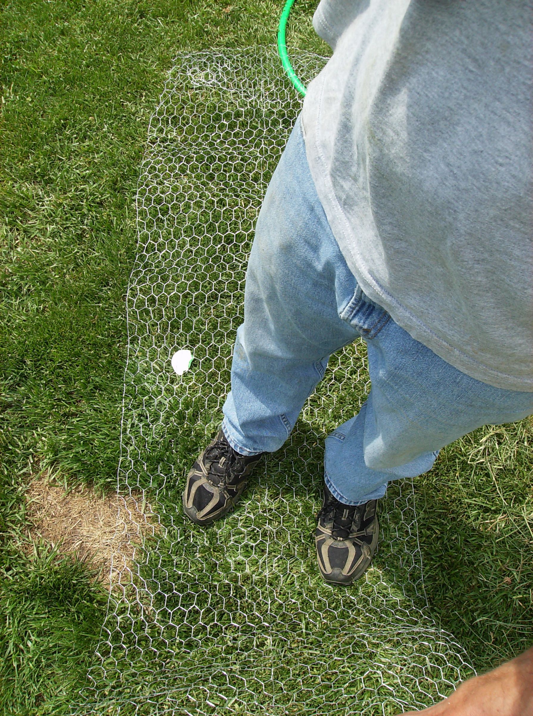 How to Build a Low Cost Vegetable Garden Trellis 5 Steps (with