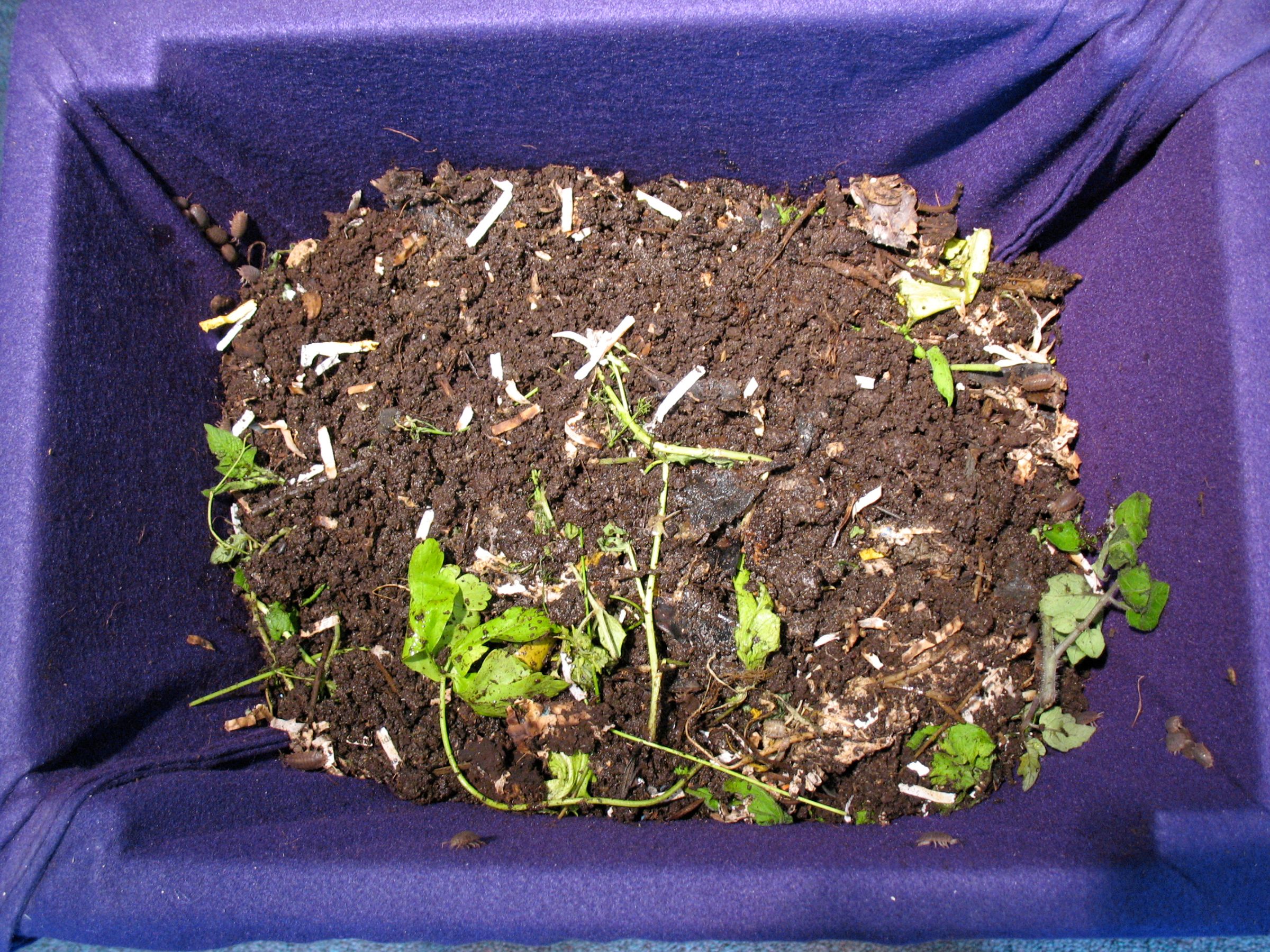 Worm Bin Bag for Indoor and Easy Separation of Worms