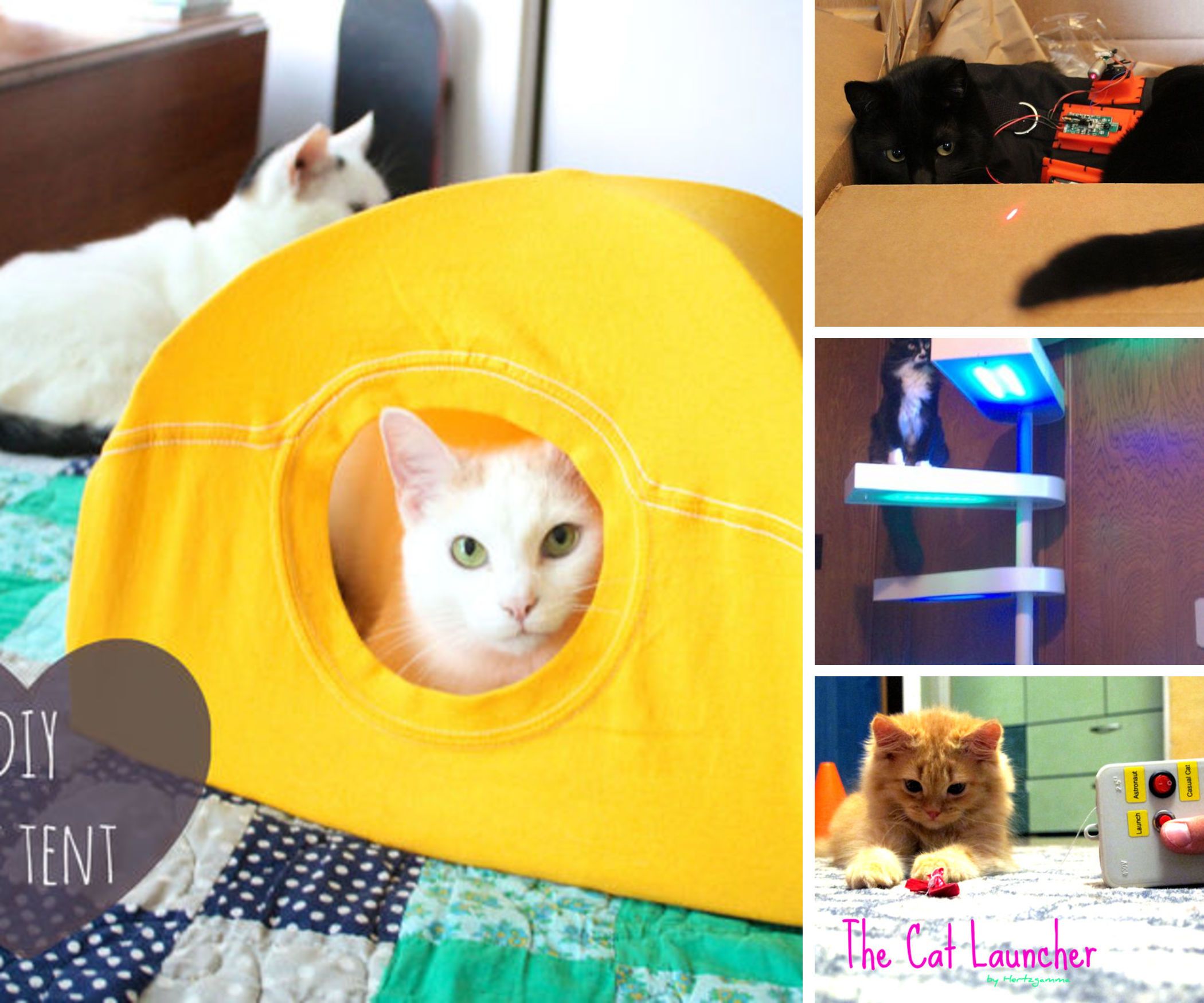 DIY guide for Cat Project Ideas with step-by-step instructions