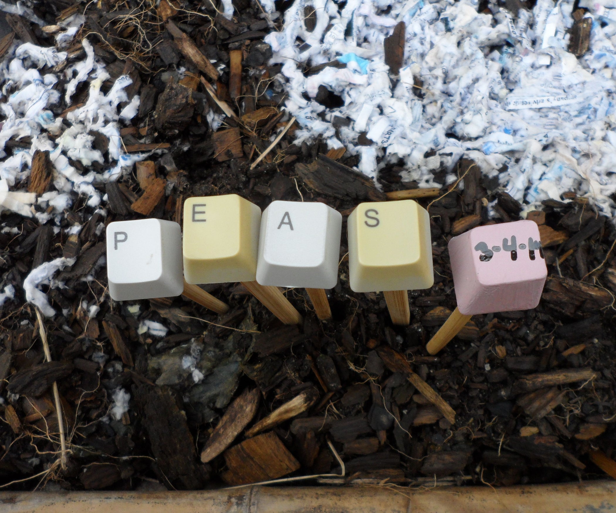 Pinckneyville Garden Keyboard Plant Markers 4 Steps (with Pictures