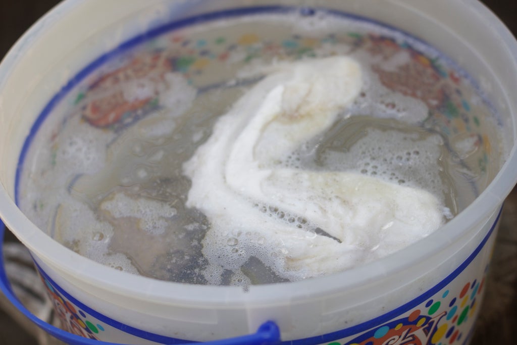 Preserving Shark Jaws And Skin From Start To Finish : 9 Steps (With  Pictures) - Instructables