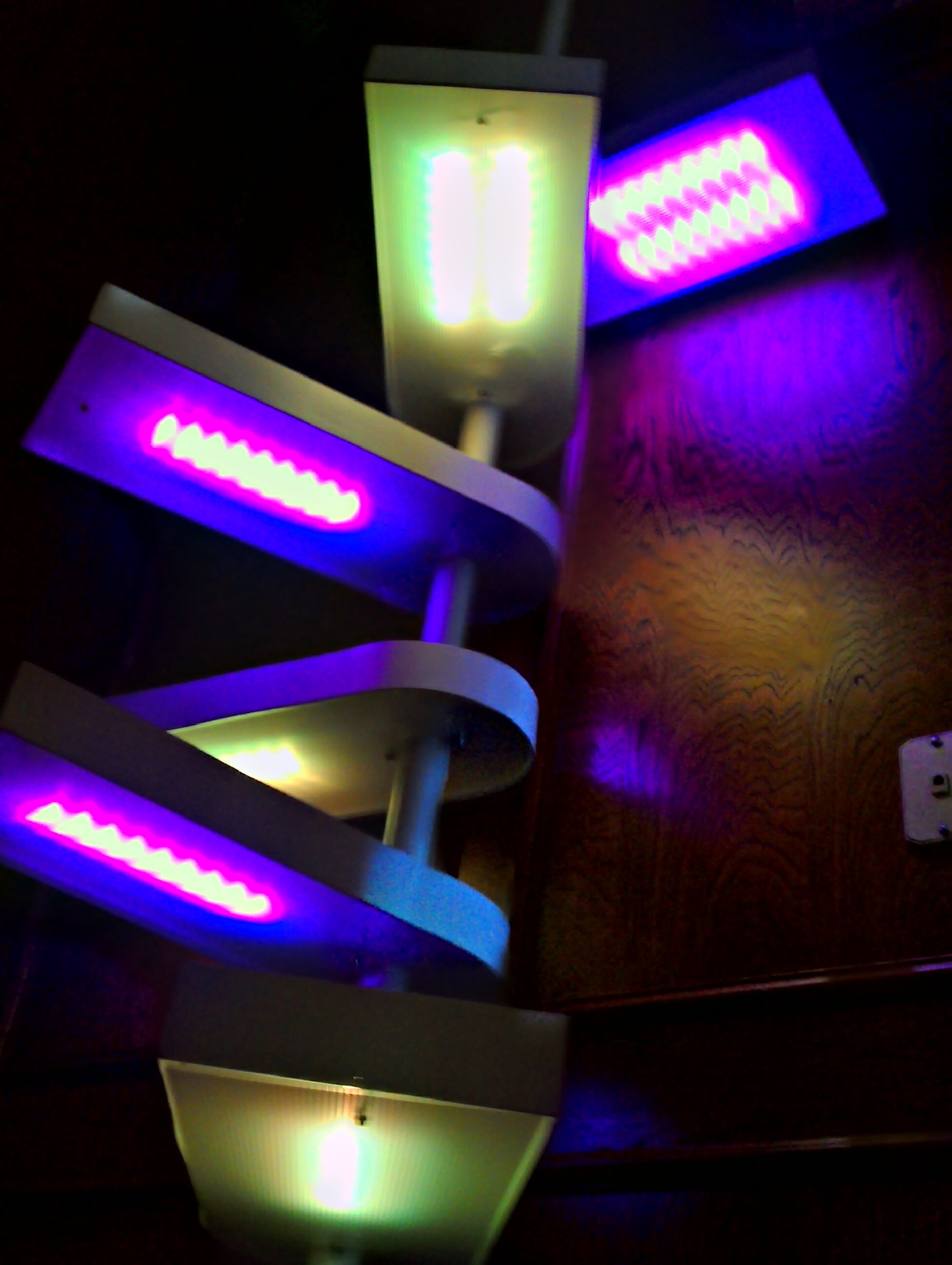 Cat Staircase Deluxe 25 Steps (with Pictures) Instructables