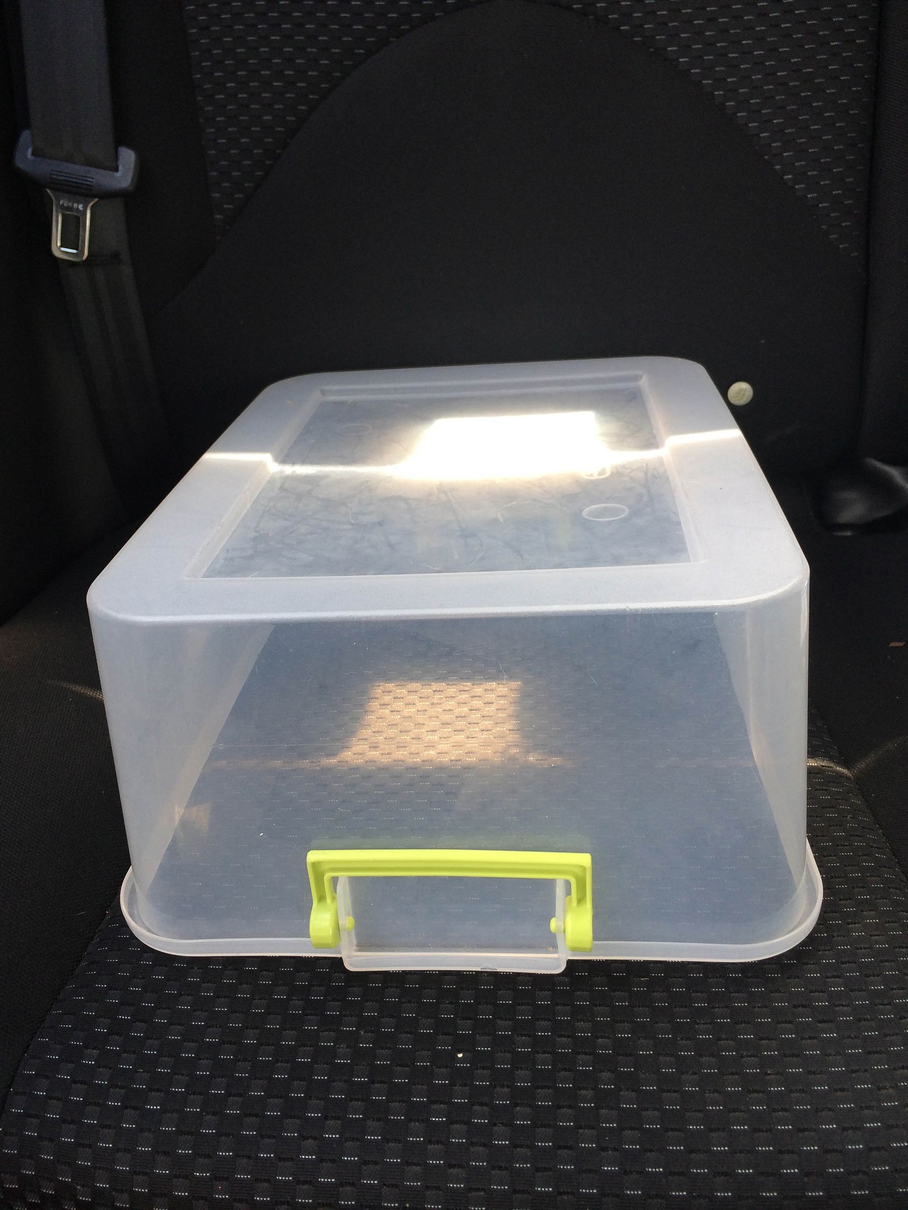 Cheap Safe Dog Car Seat 10 Steps (with Pictures) Instructables