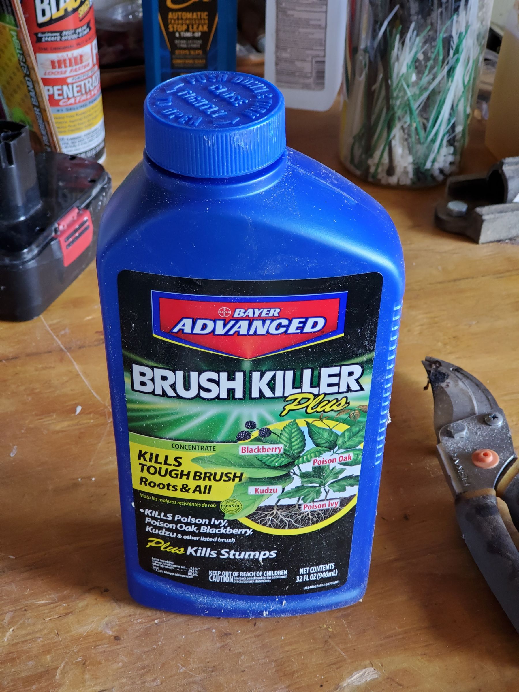 Effortlessly Kill Mulberry Trees Without a Saw! 3 Steps Instructables