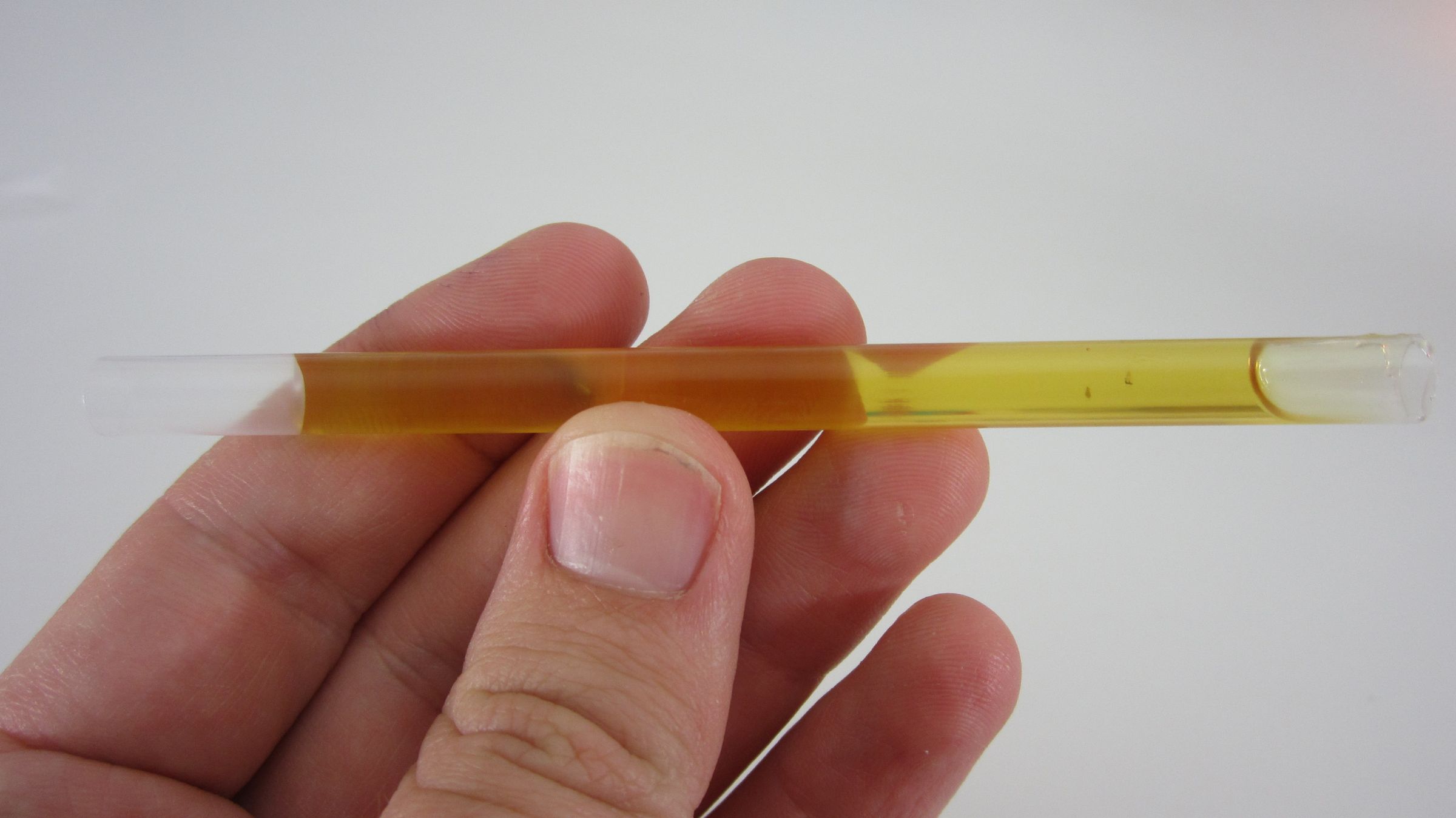 Homemade Honey Sticks 9 Steps (with Pictures) Instructables