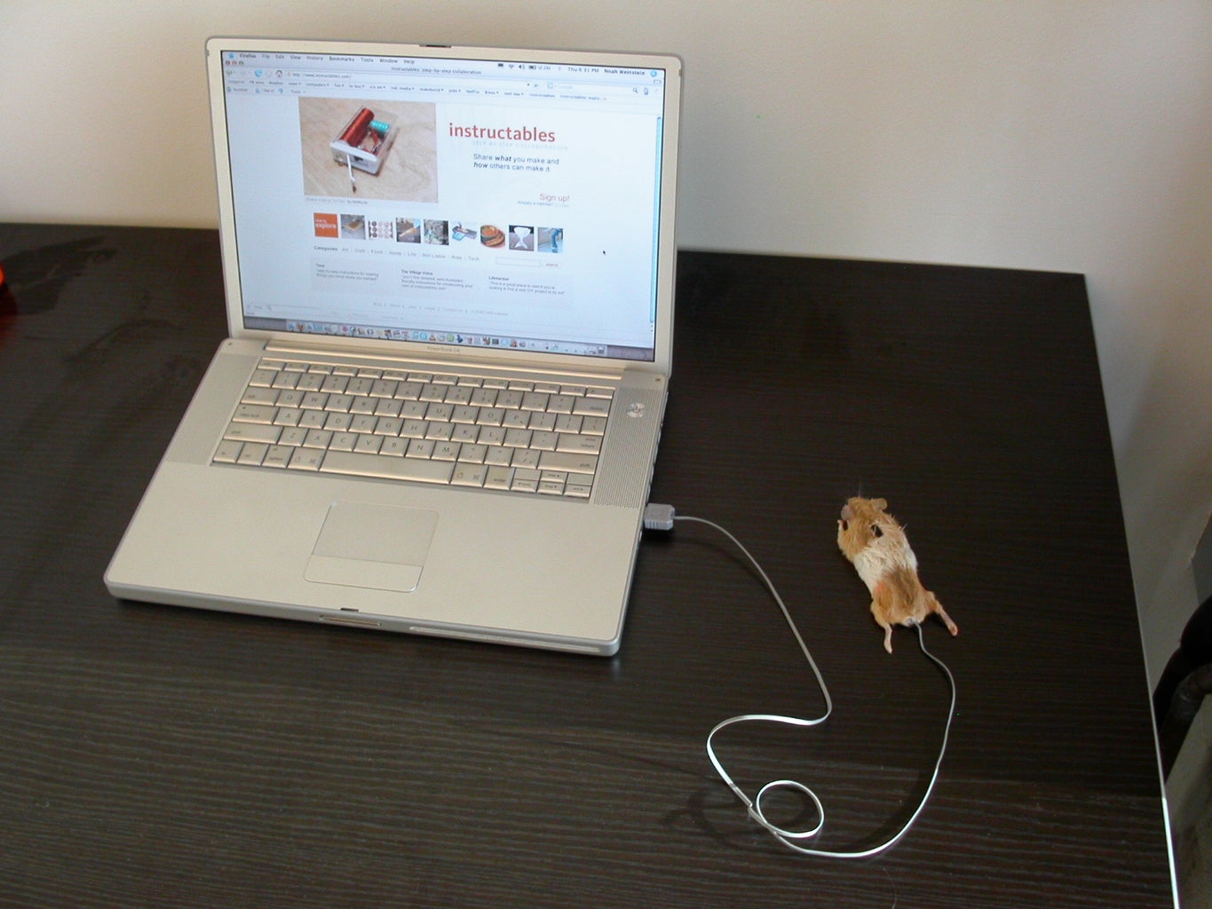 Mouse Mouse! : 9 Steps (with Pictures) - Instructables