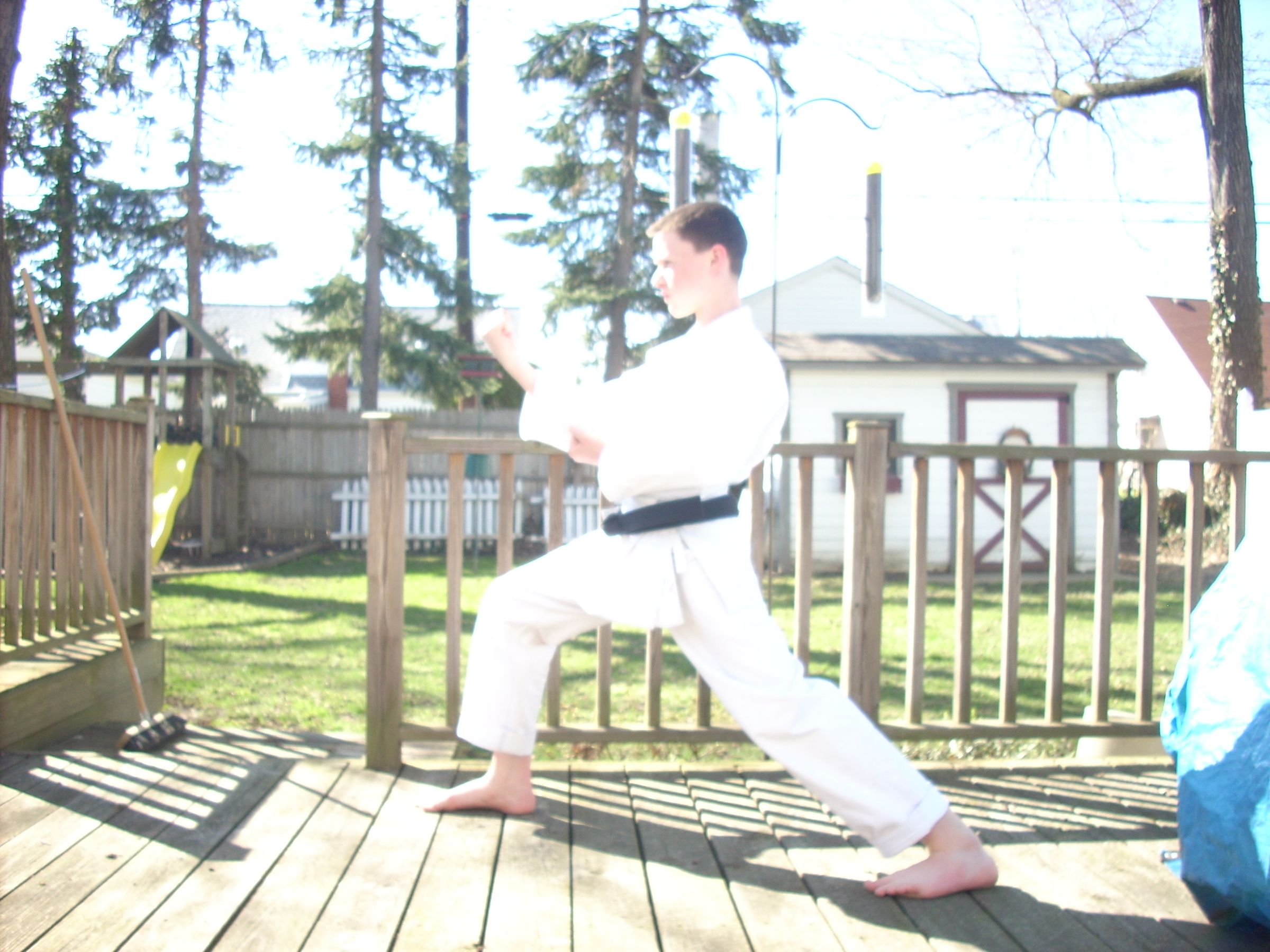 Basic Karate Stances 4 Steps Instructables