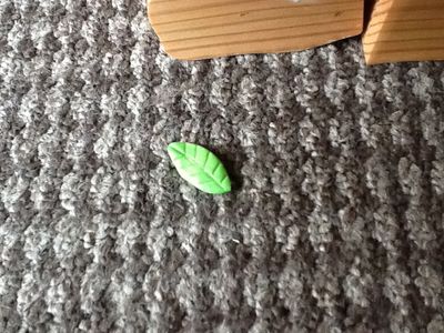 Leaf Box : 7 Steps (with Pictures) - Instructables