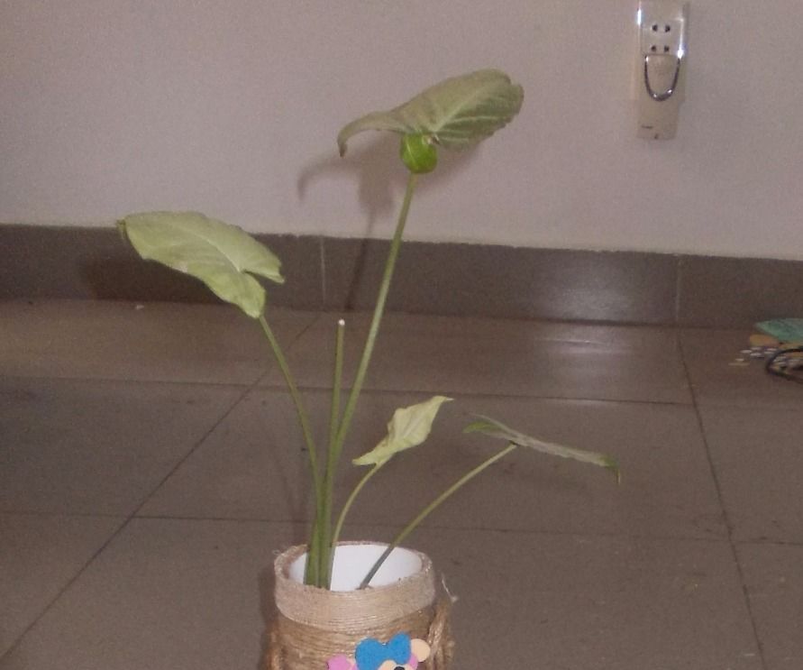 DIY guide for Miss La Sen recycling craft tree vase with step-by-step instructions