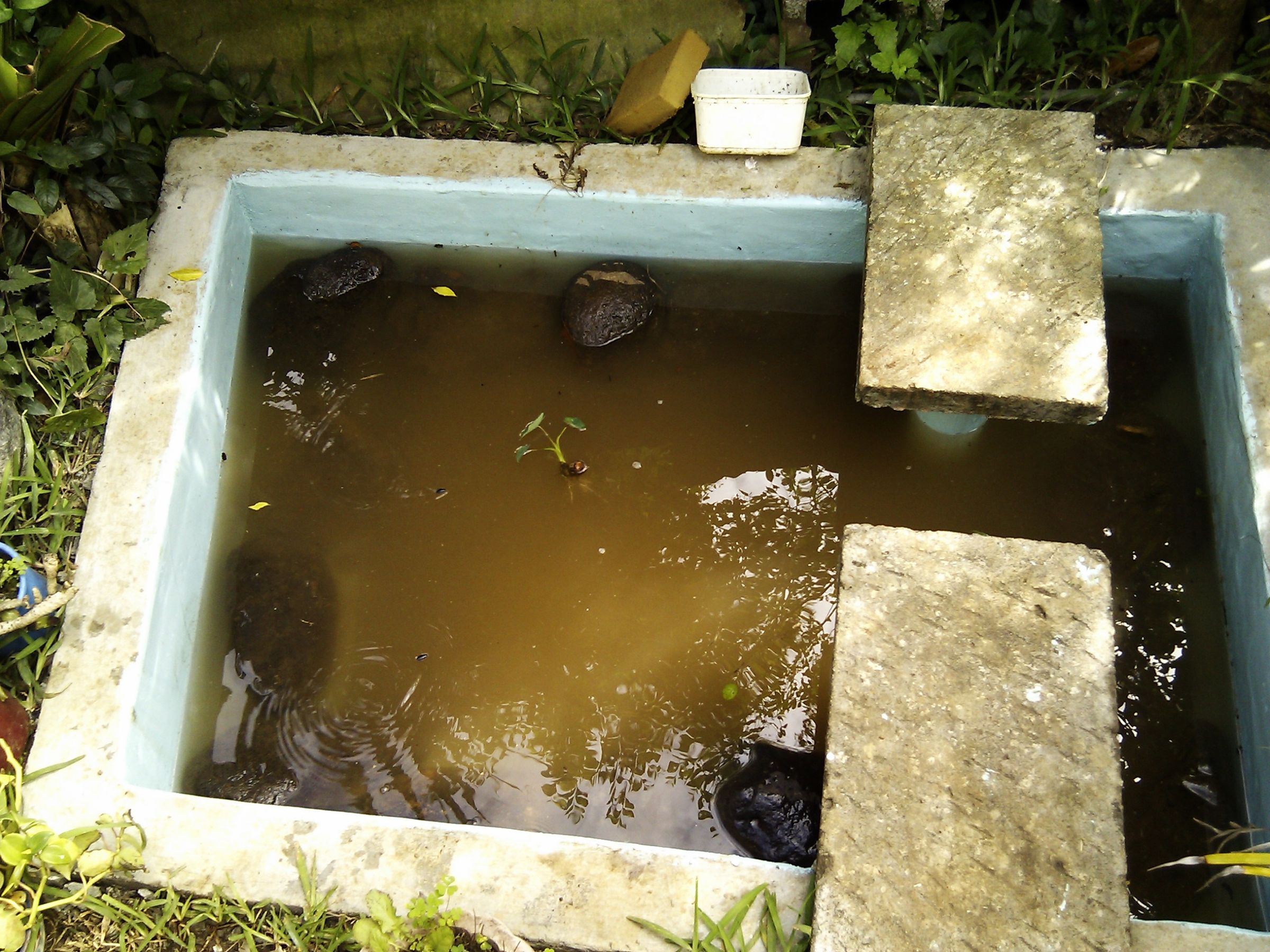 Concrete Pond 9 Steps (with Pictures) Instructables