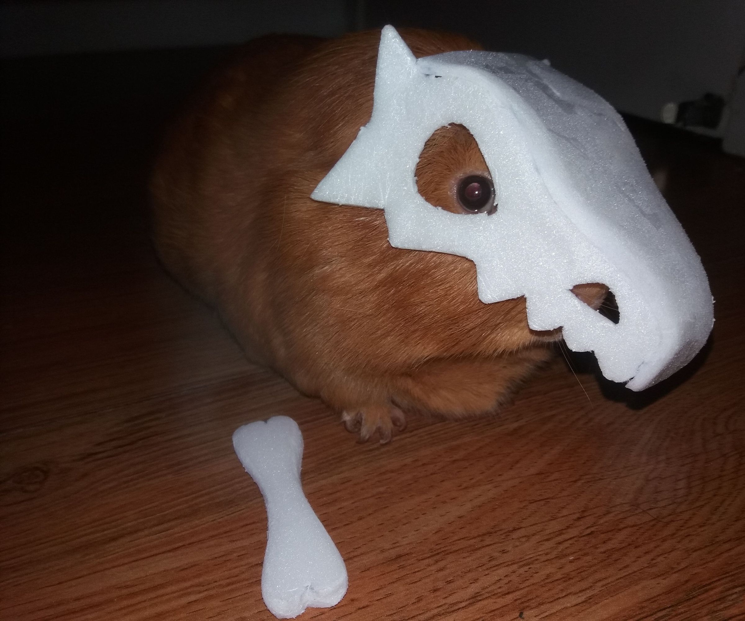 "cui"bone DIY Project DIY Project Image